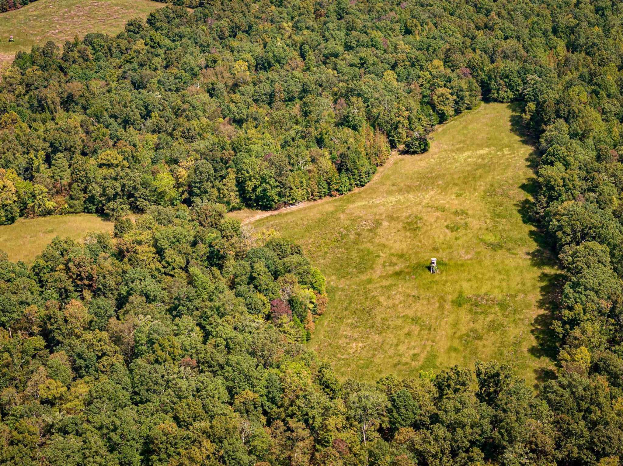 2642 Brodies Landing Rd, Parsons, TN 38363