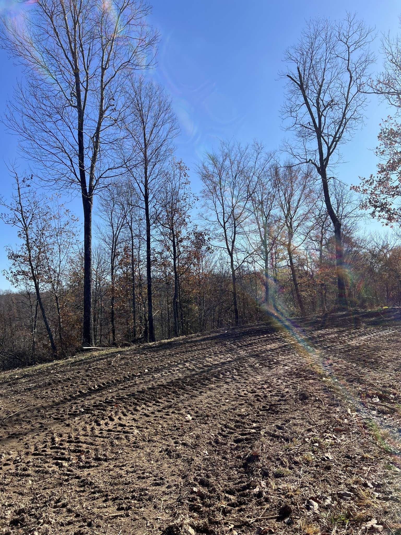 91D Rolling Hills, Lobelville, TN 37097