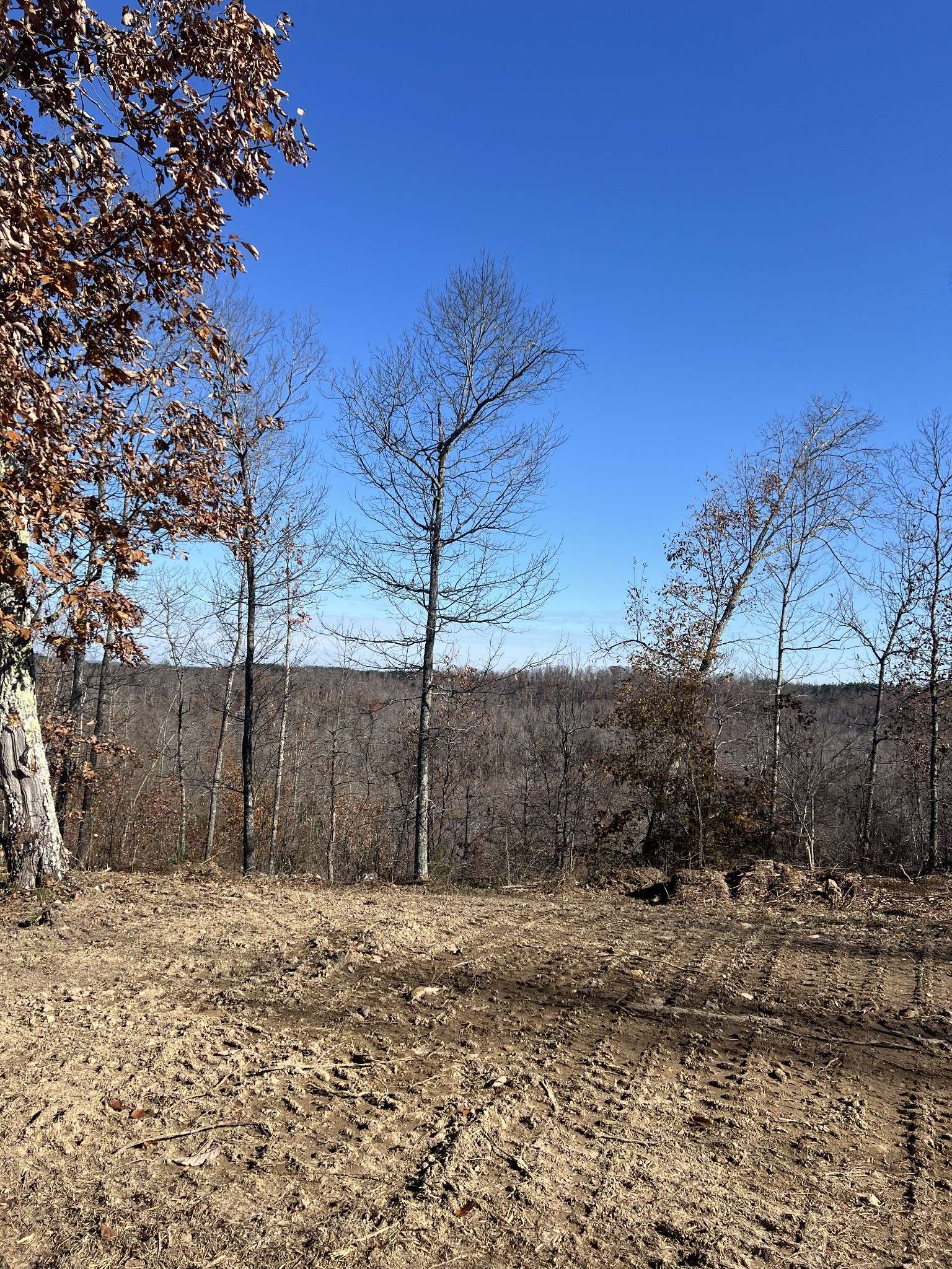 91D Rolling Hills, Lobelville, TN 37097