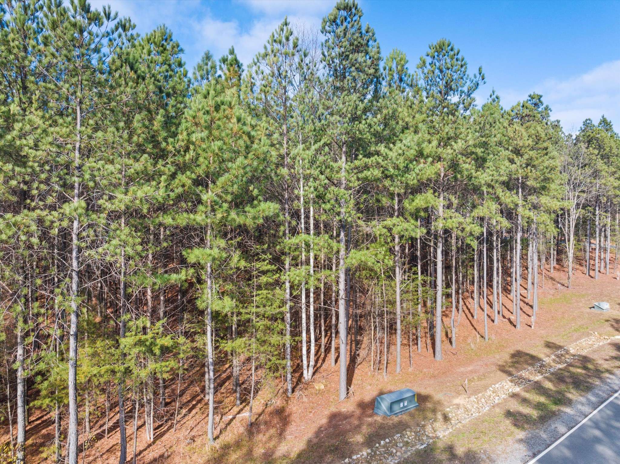 0 Crockett Point, Jasper, TN 37347