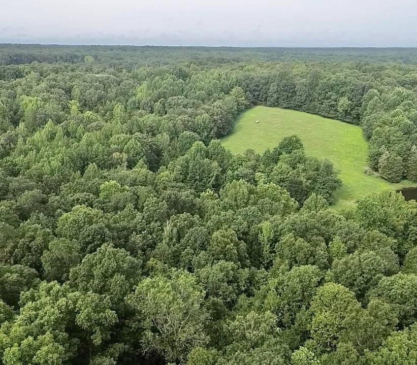 5128 Louise Rd, Cumberland Furnace, TN 37051