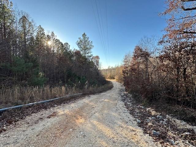 0 Sawyers Mill Rd, Camden, TN 38320