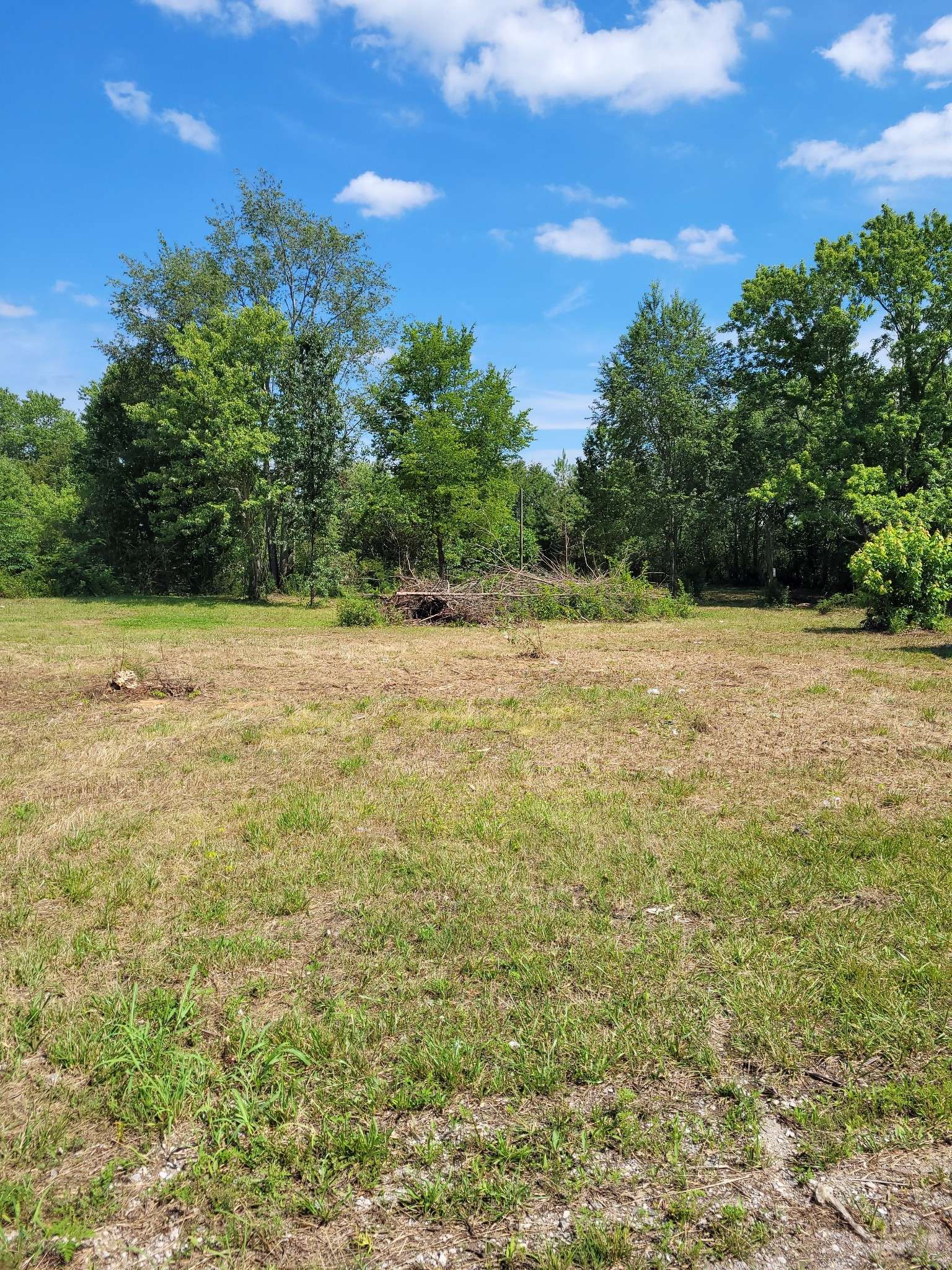 2816 Highway 43 #S, Leoma, TN 38468