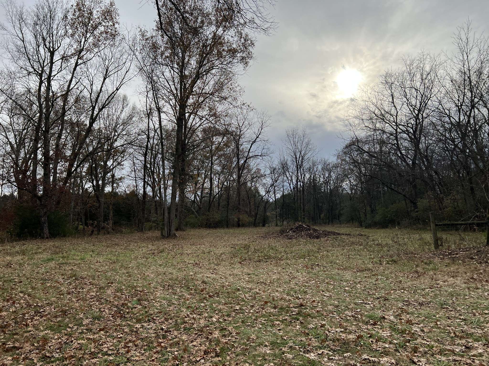 1 Pyles Rd, Chapel Hill, TN 37034