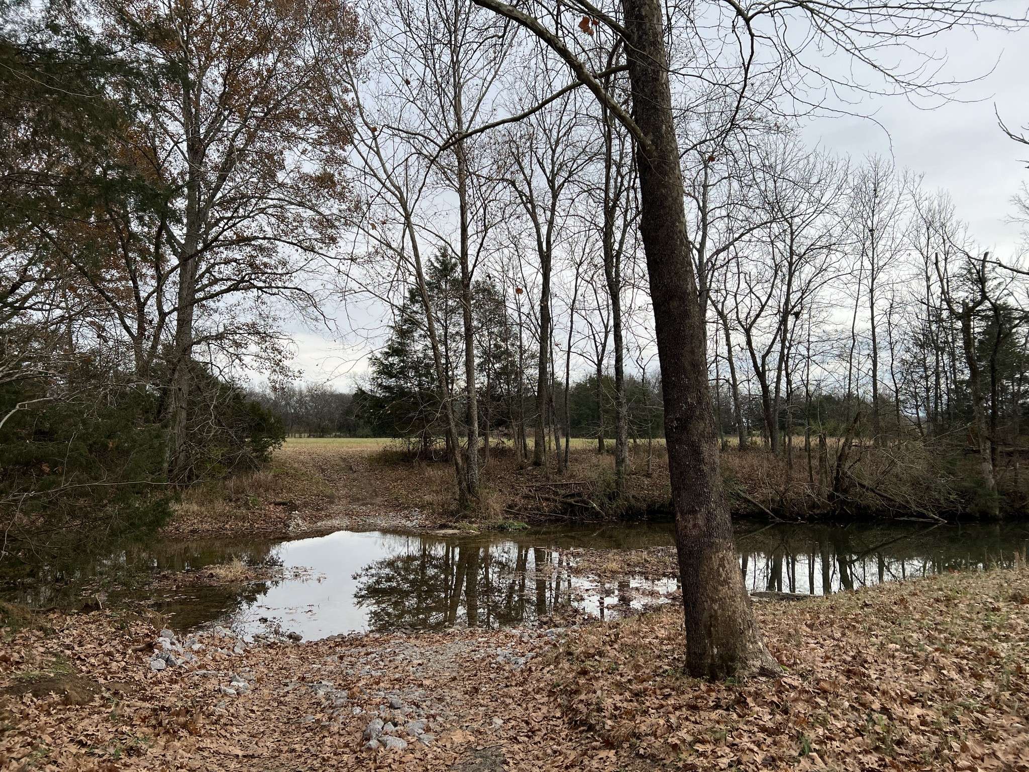 1 Pyles Rd, Chapel Hill, TN 37034