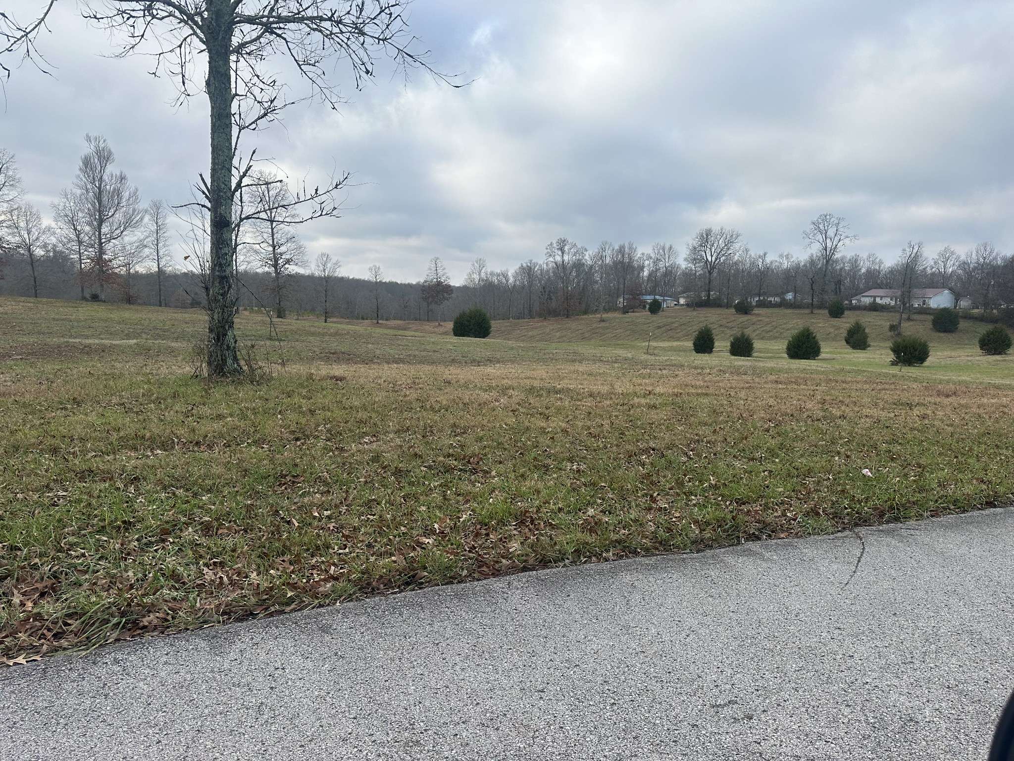 0 Woodland Ave, Lawrenceburg, TN 38464