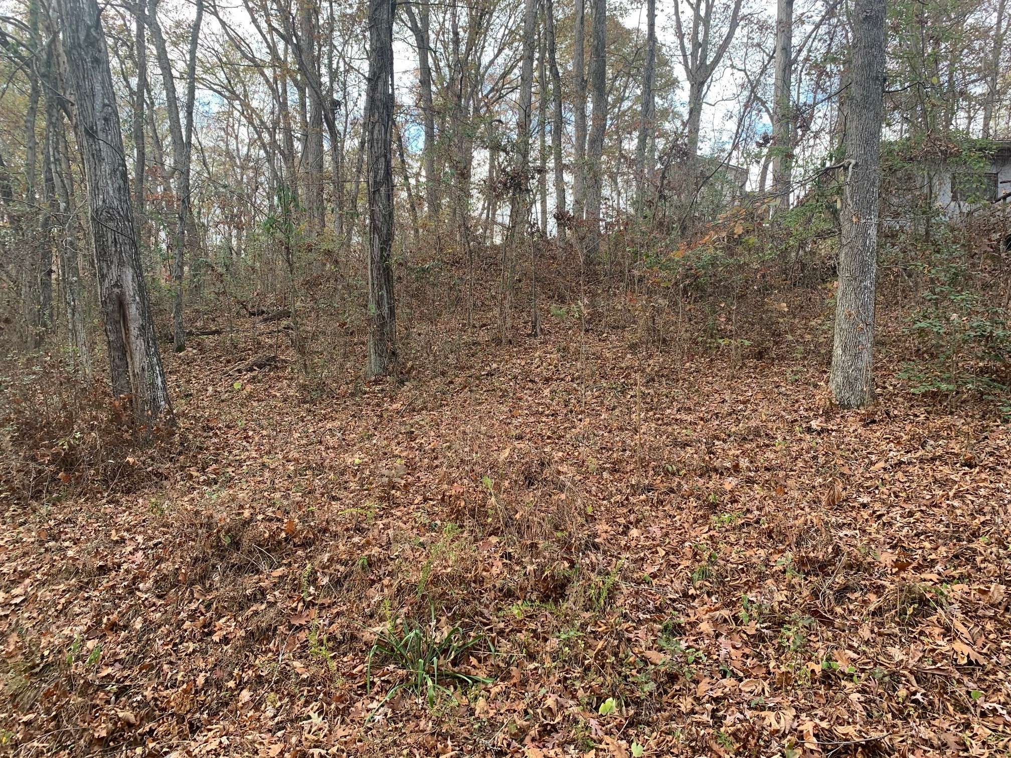 160 Trailer Rd, Springville, TN 38256