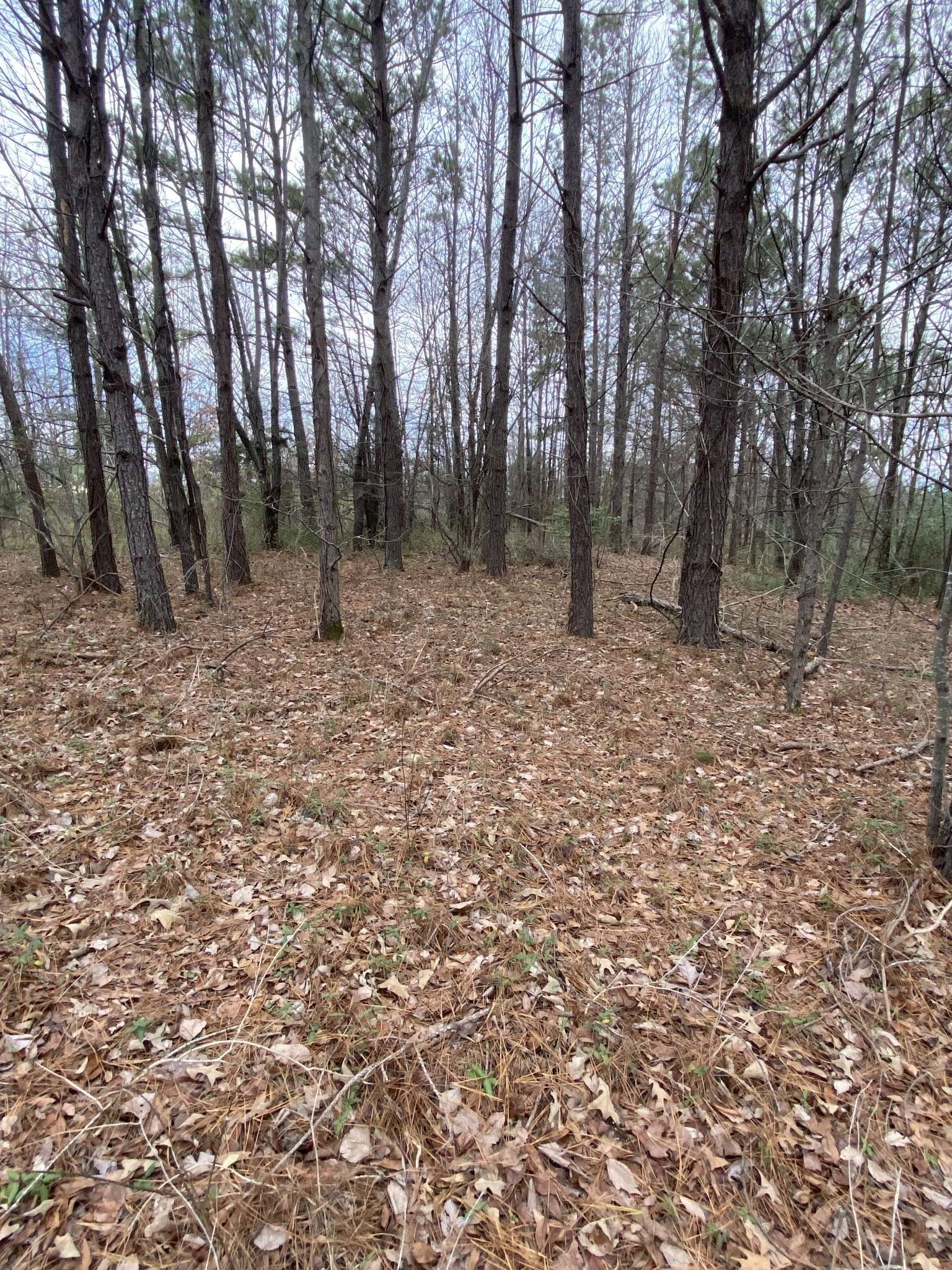 1434 Key Corner St Ext, Brownsville, TN 38012