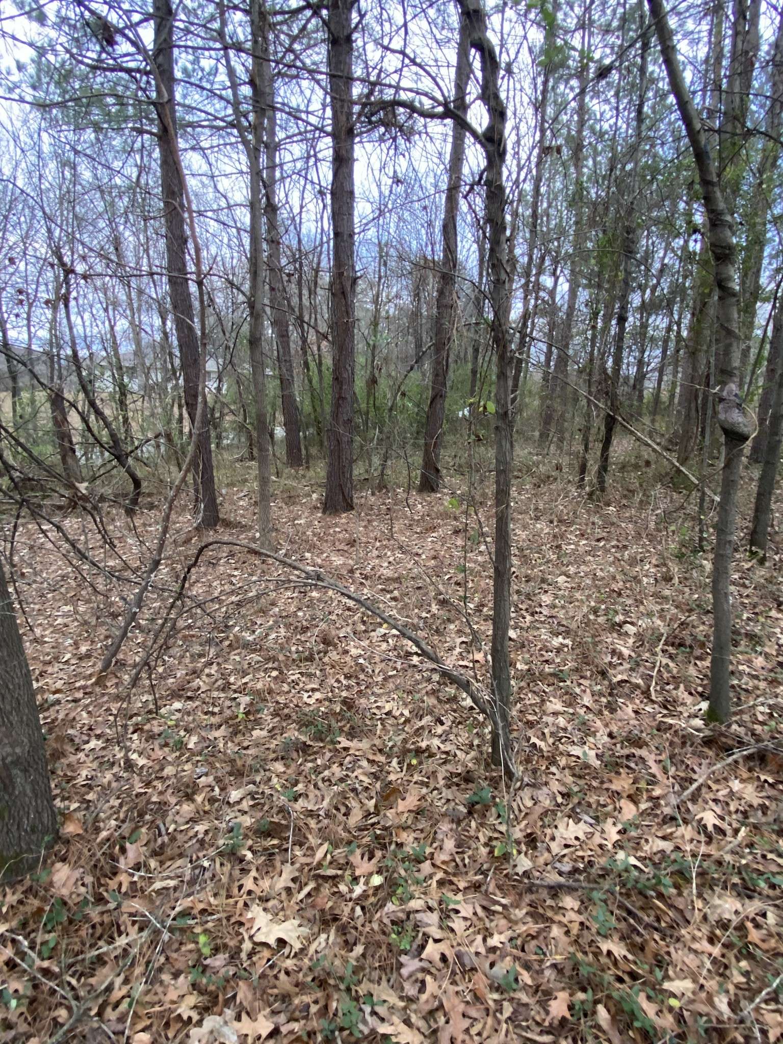 1434 Key Corner St Ext, Brownsville, TN 38012
