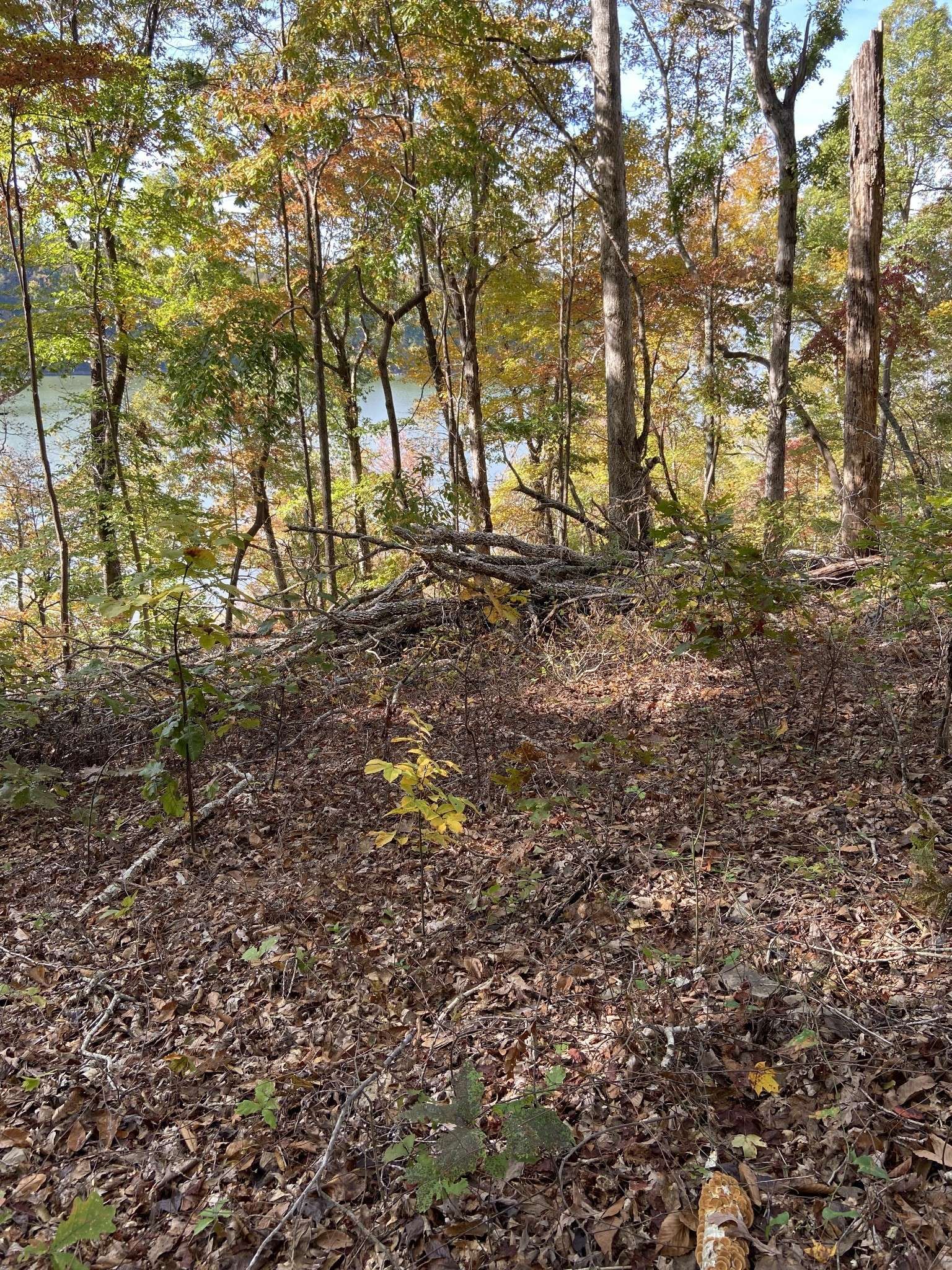 0 Hurricane Creek Road, Stewart, TN 37175
