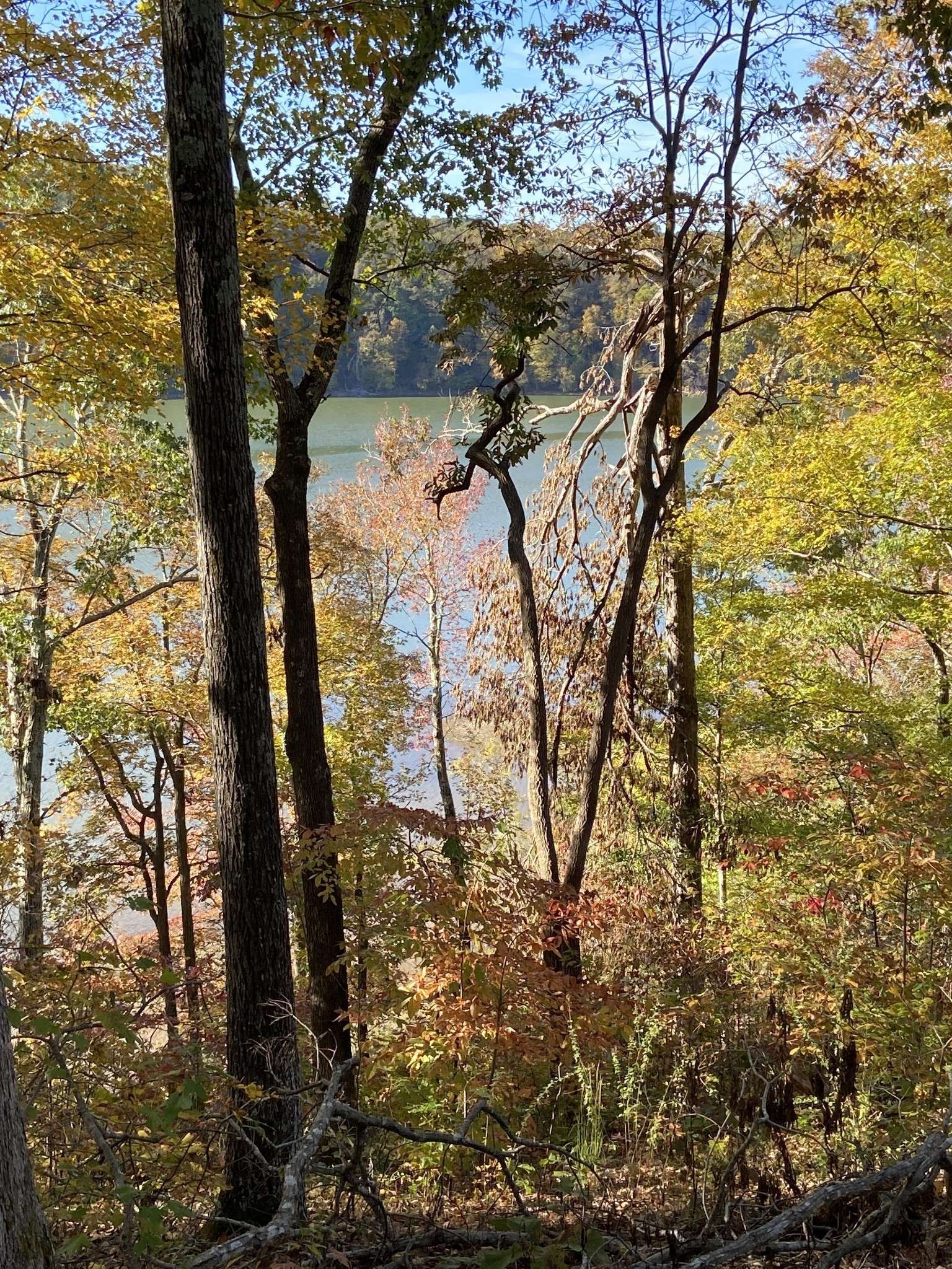 0 Hurricane Creek Road, Stewart, TN 37175
