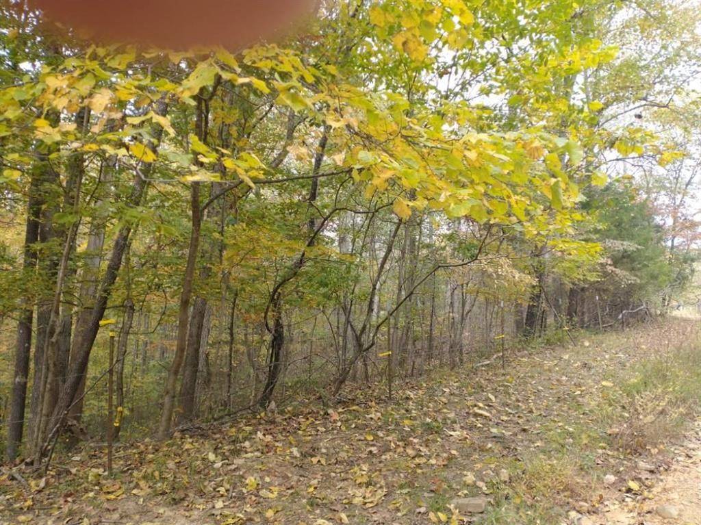 0 Little Marrowbone Road, Ashland City, TN 37015