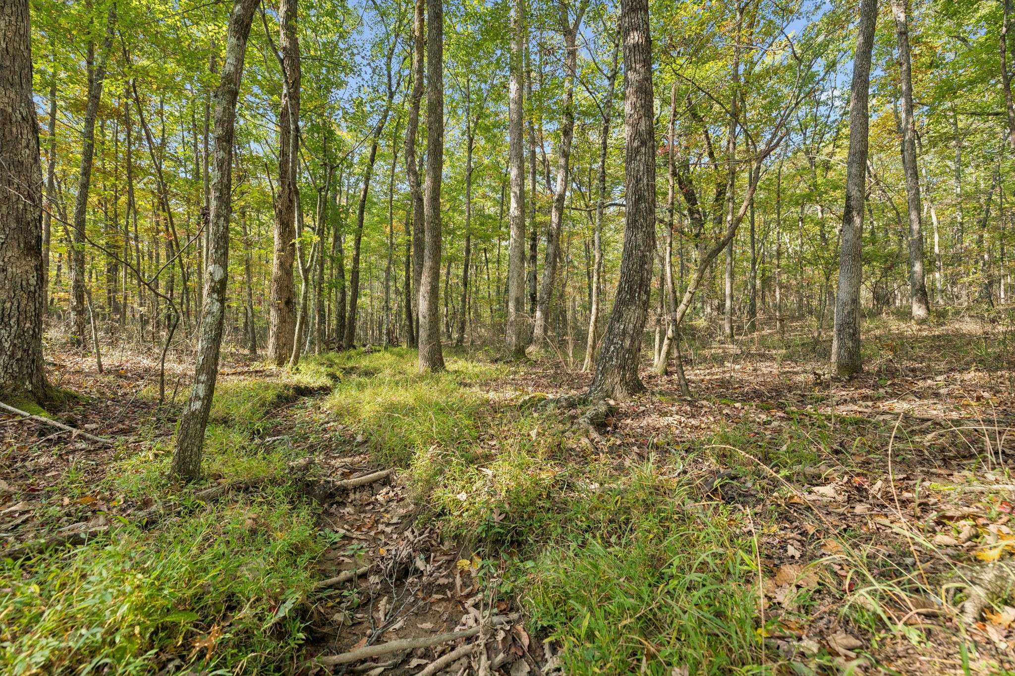 0 Timberwood Trace, Monteagle, TN 37356