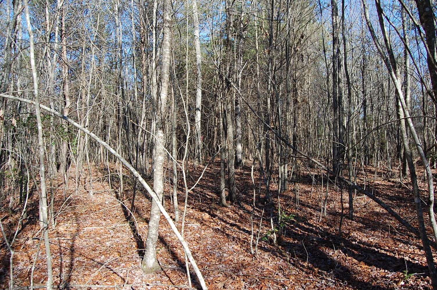4 Henson Gap Road, Soddy Daisy, TN 37379