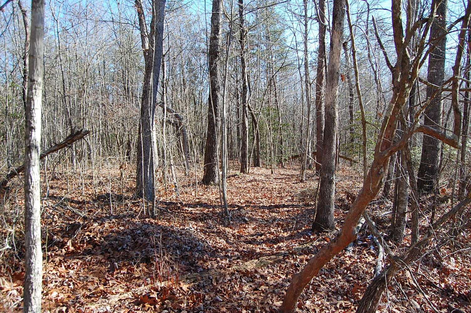 4 Henson Gap Road, Soddy Daisy, TN 37379