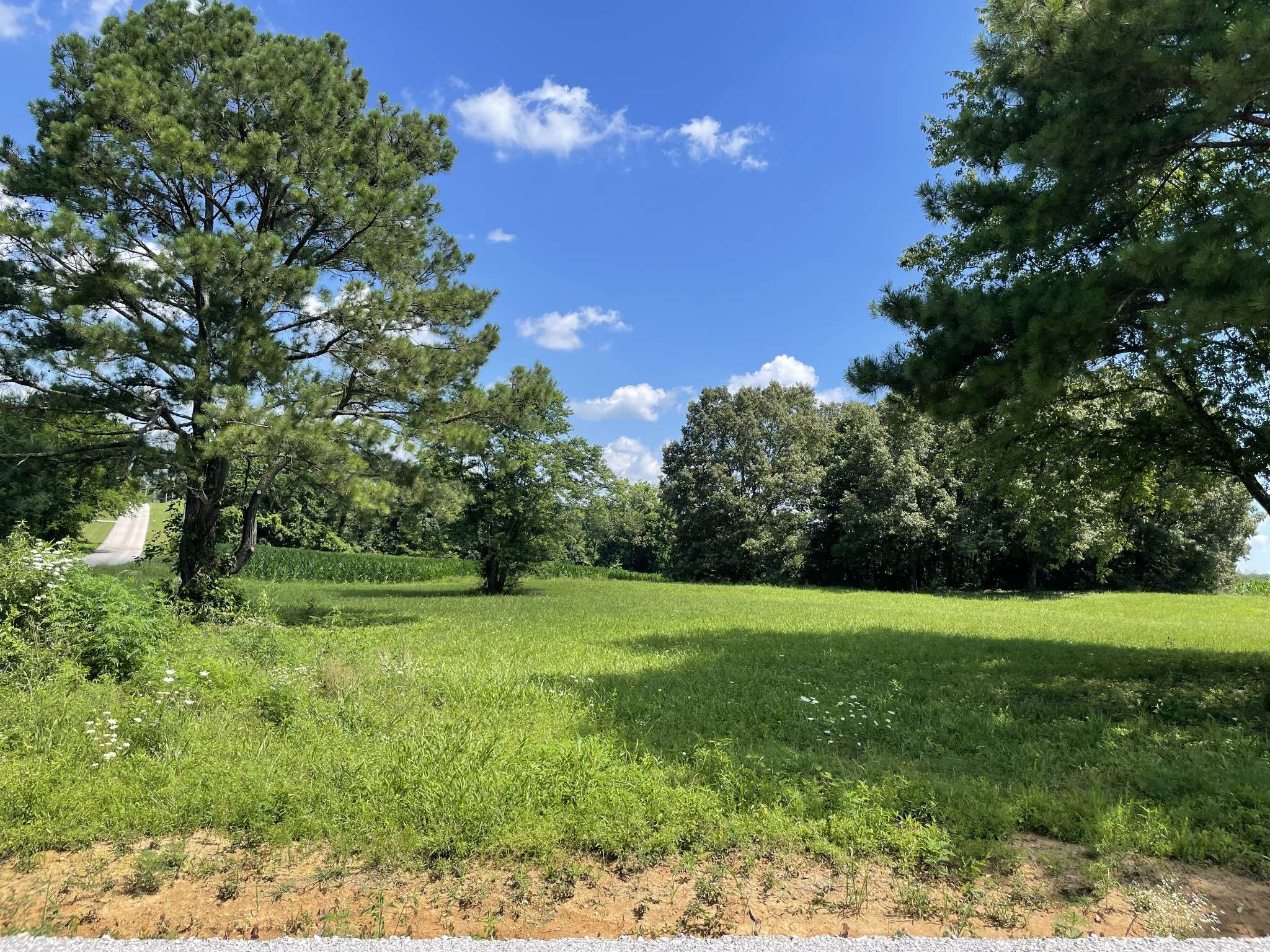0 Hidden Hills Lane, Summertown, TN 38483