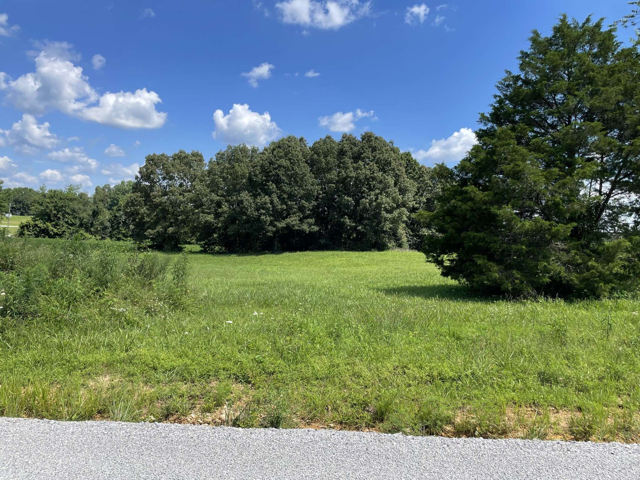 0 Hidden Hills Lane, Summertown, TN 38483