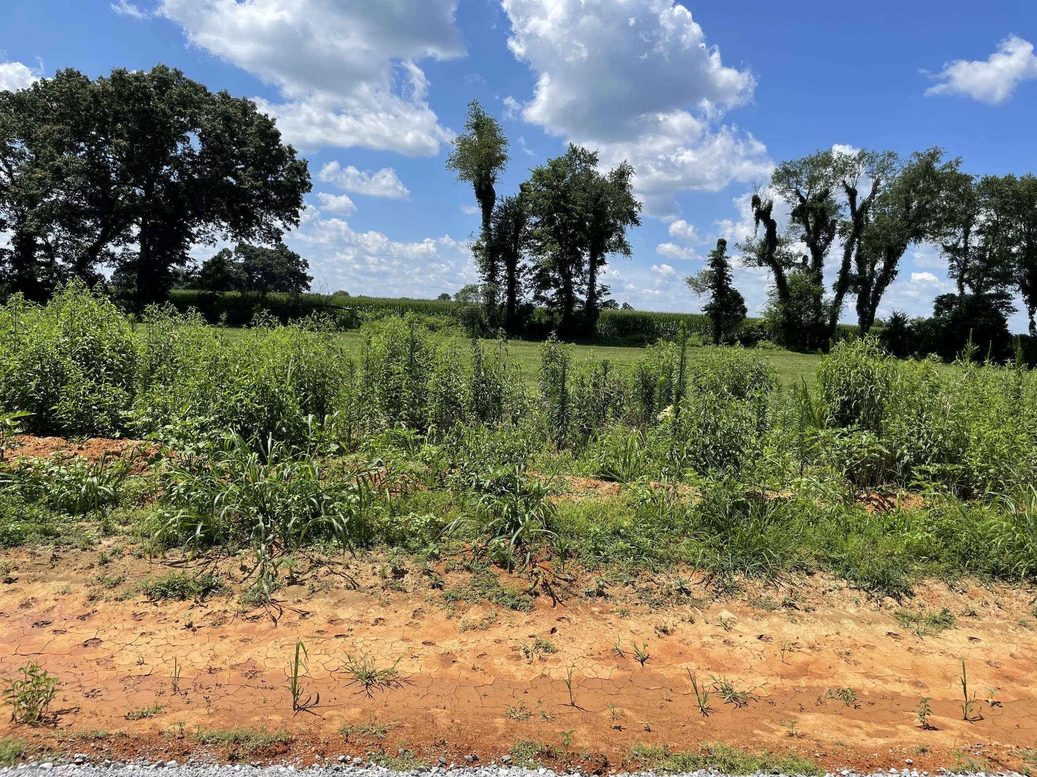 0 Hidden Hills Lane, Summertown, TN 38483