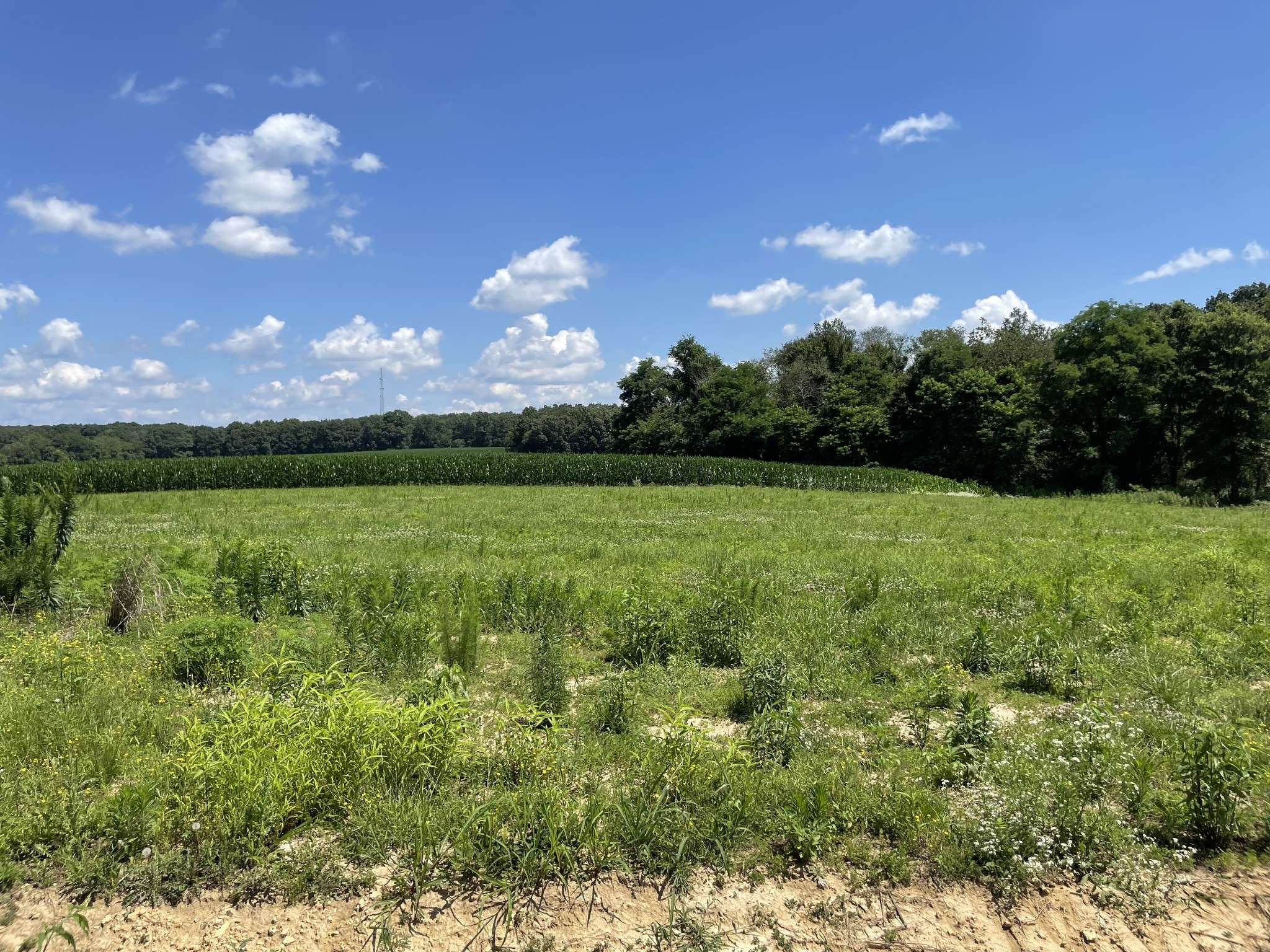 0 Hidden Hills Lane, Summertown, TN 38483