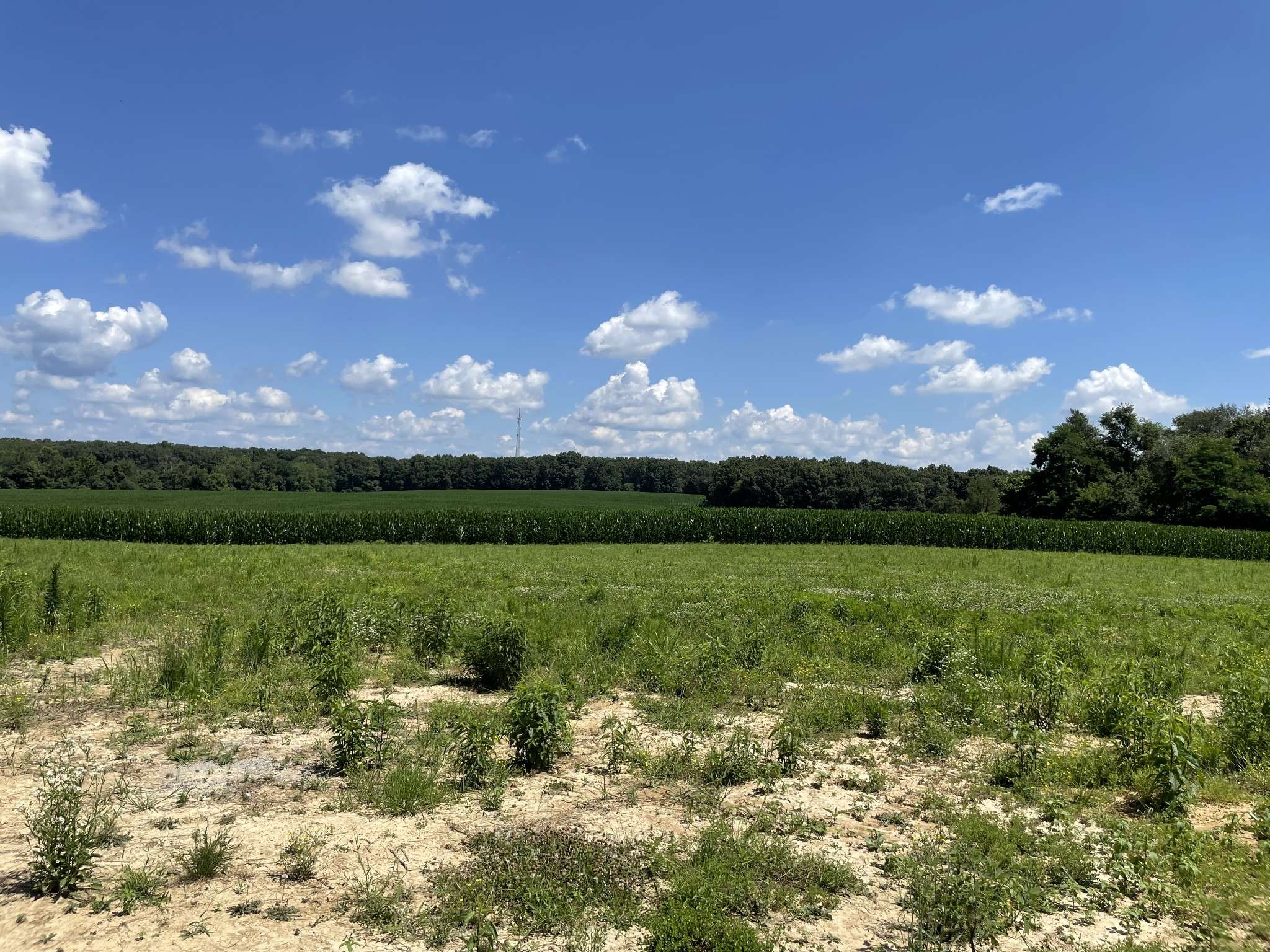 0 Hidden Hills Lane, Summertown, TN 38483