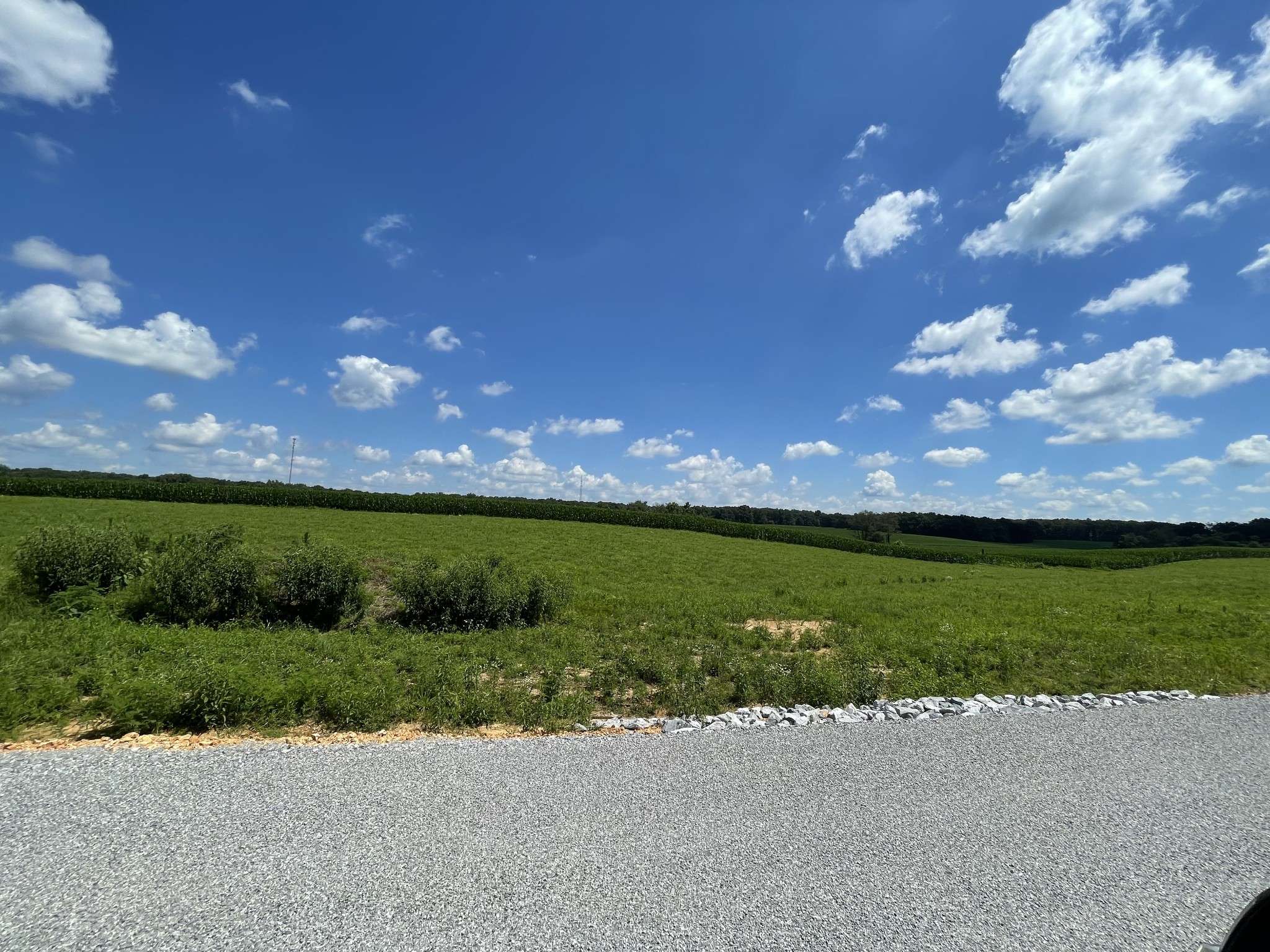 0 Hidden Hills Lane, Summertown, TN 38483
