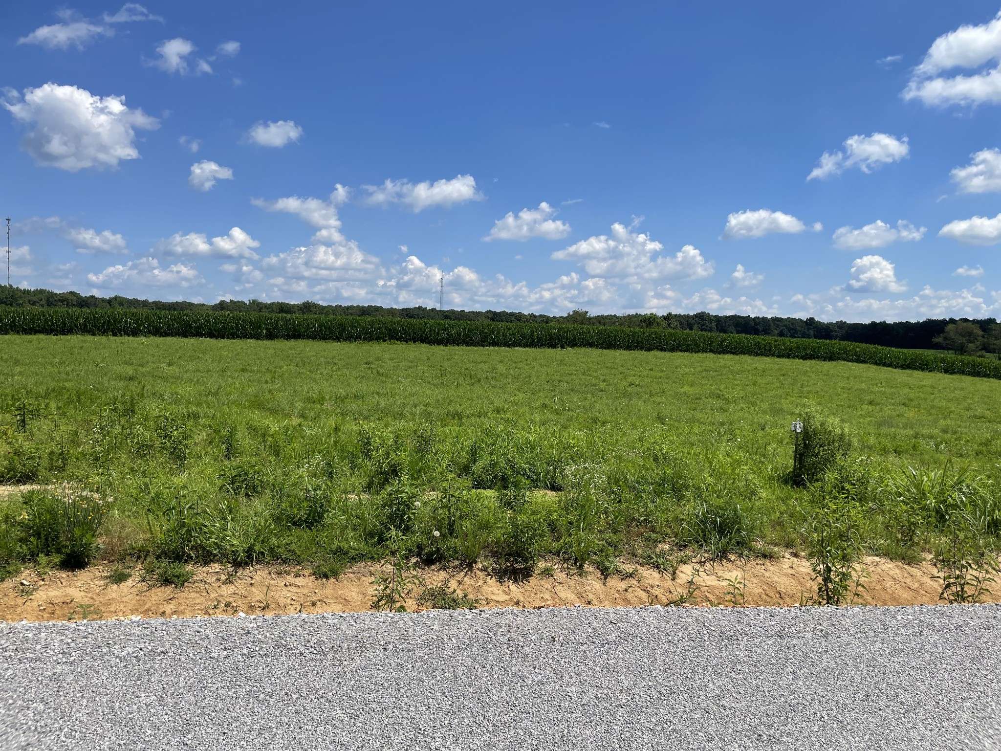0 Hidden Hills Lane, Summertown, TN 38483