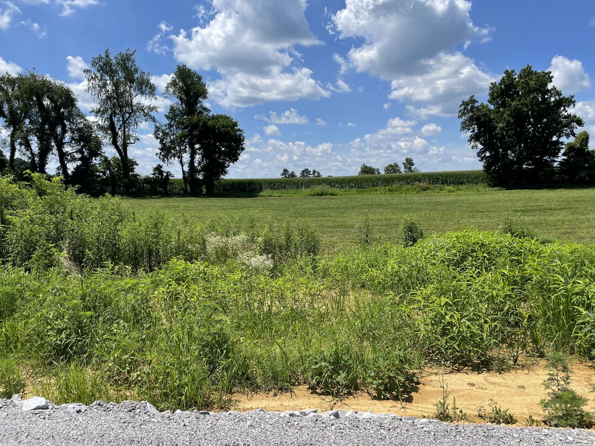 0 Hidden Hills Lane, Summertown, TN 38483