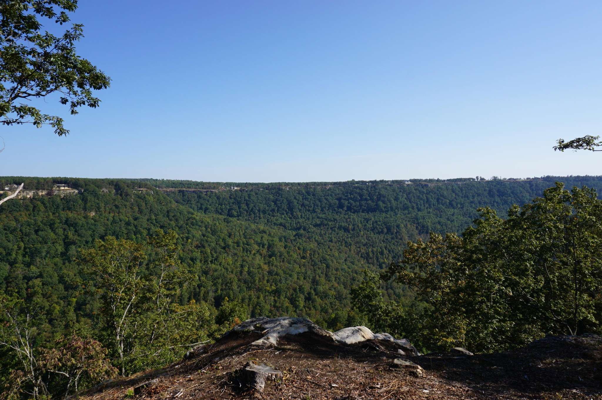 0 Crockett Point, Jasper, TN 37347
