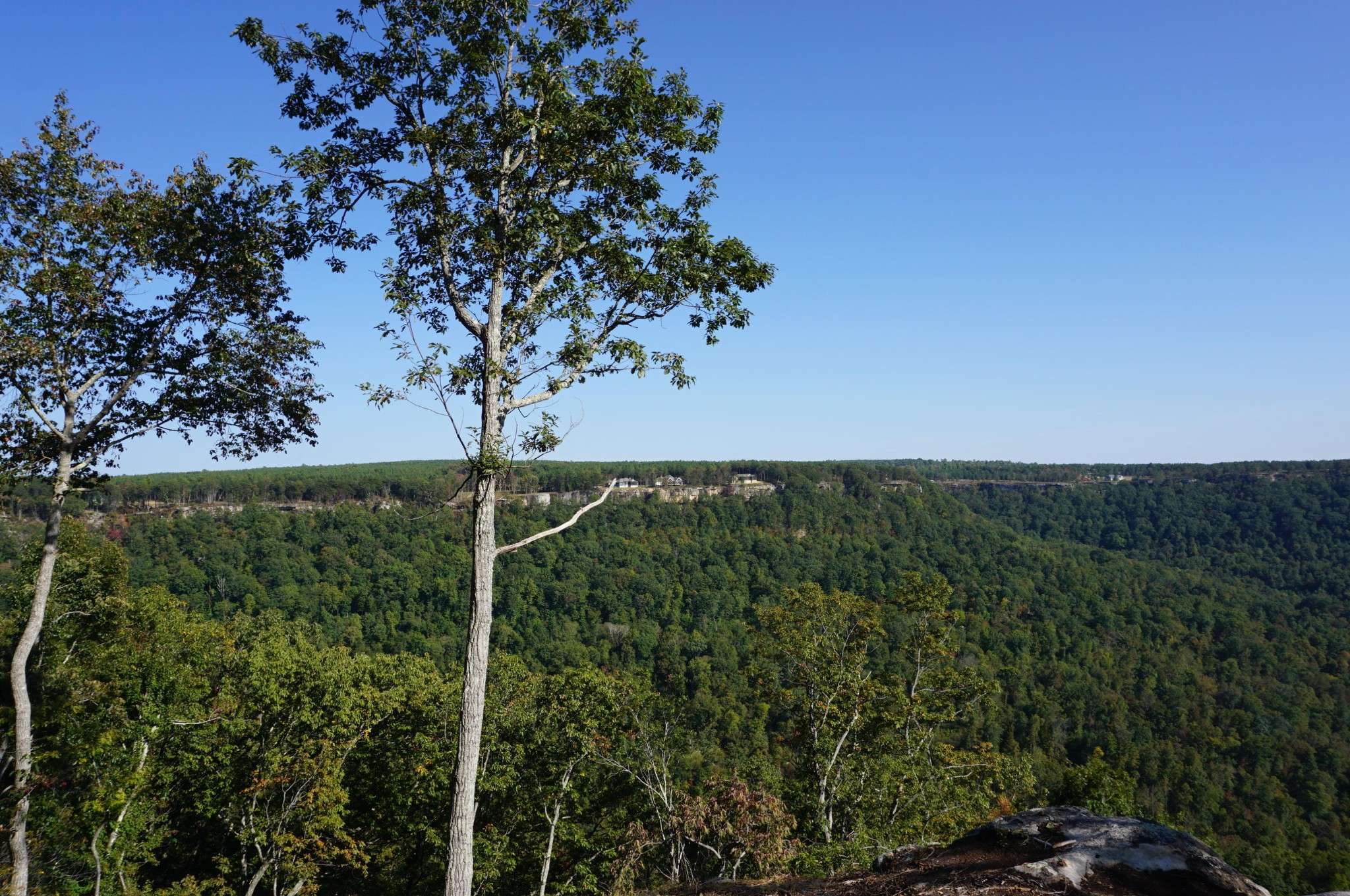 0 Crockett Point, Jasper, TN 37347