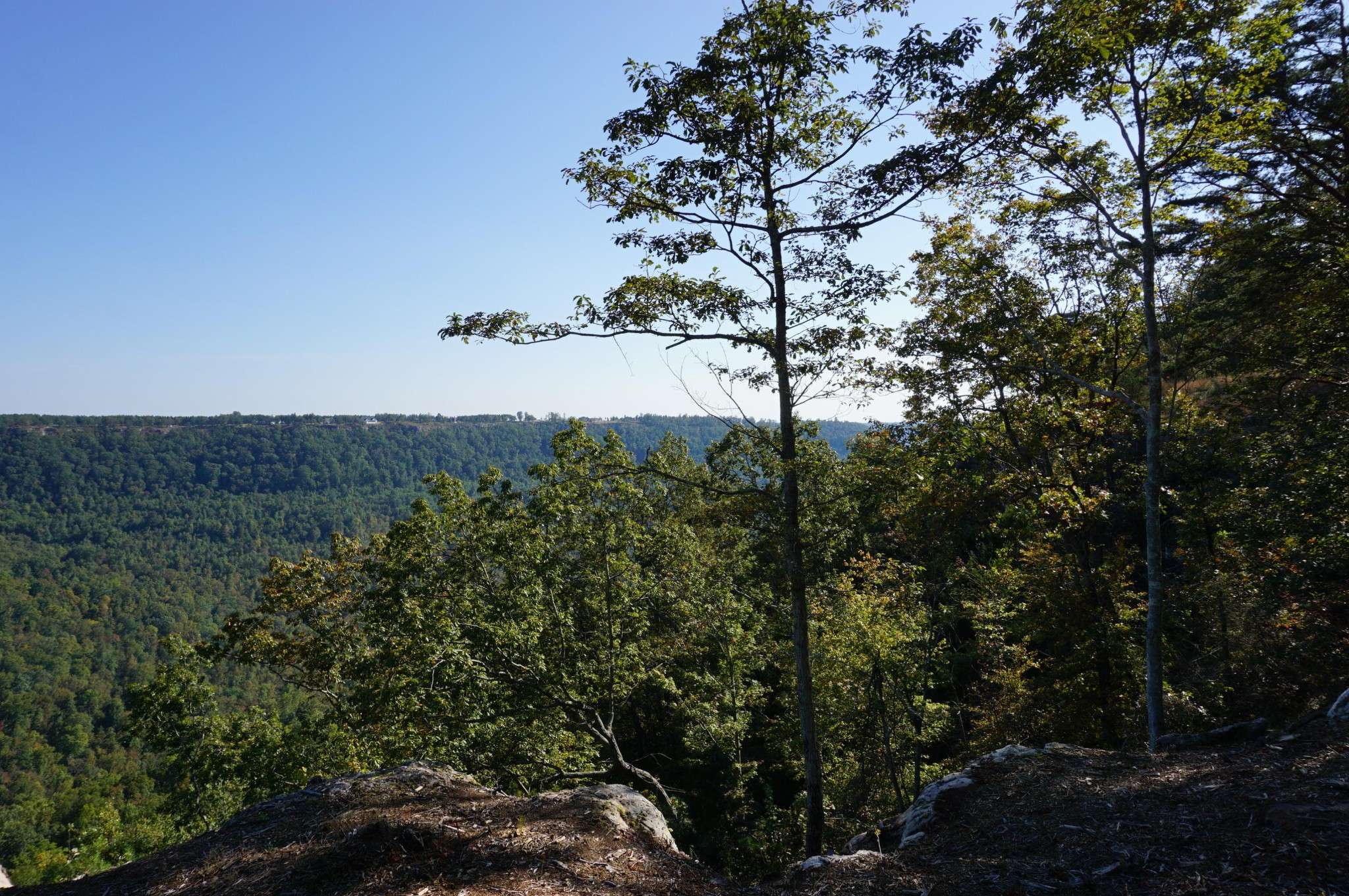0 Crockett Point, Jasper, TN 37347