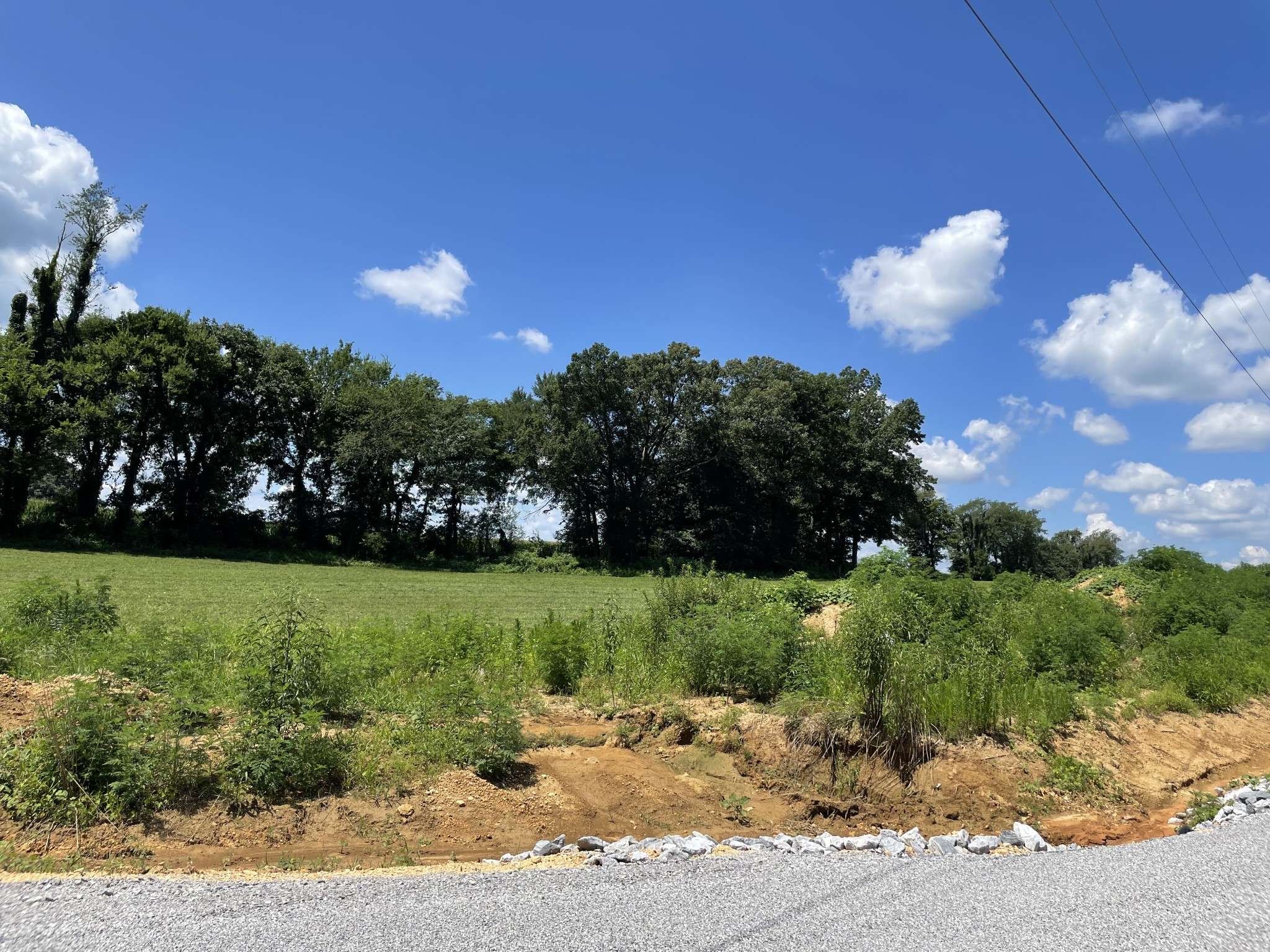 0 Hidden Hills Lane, Summertown, TN 38483