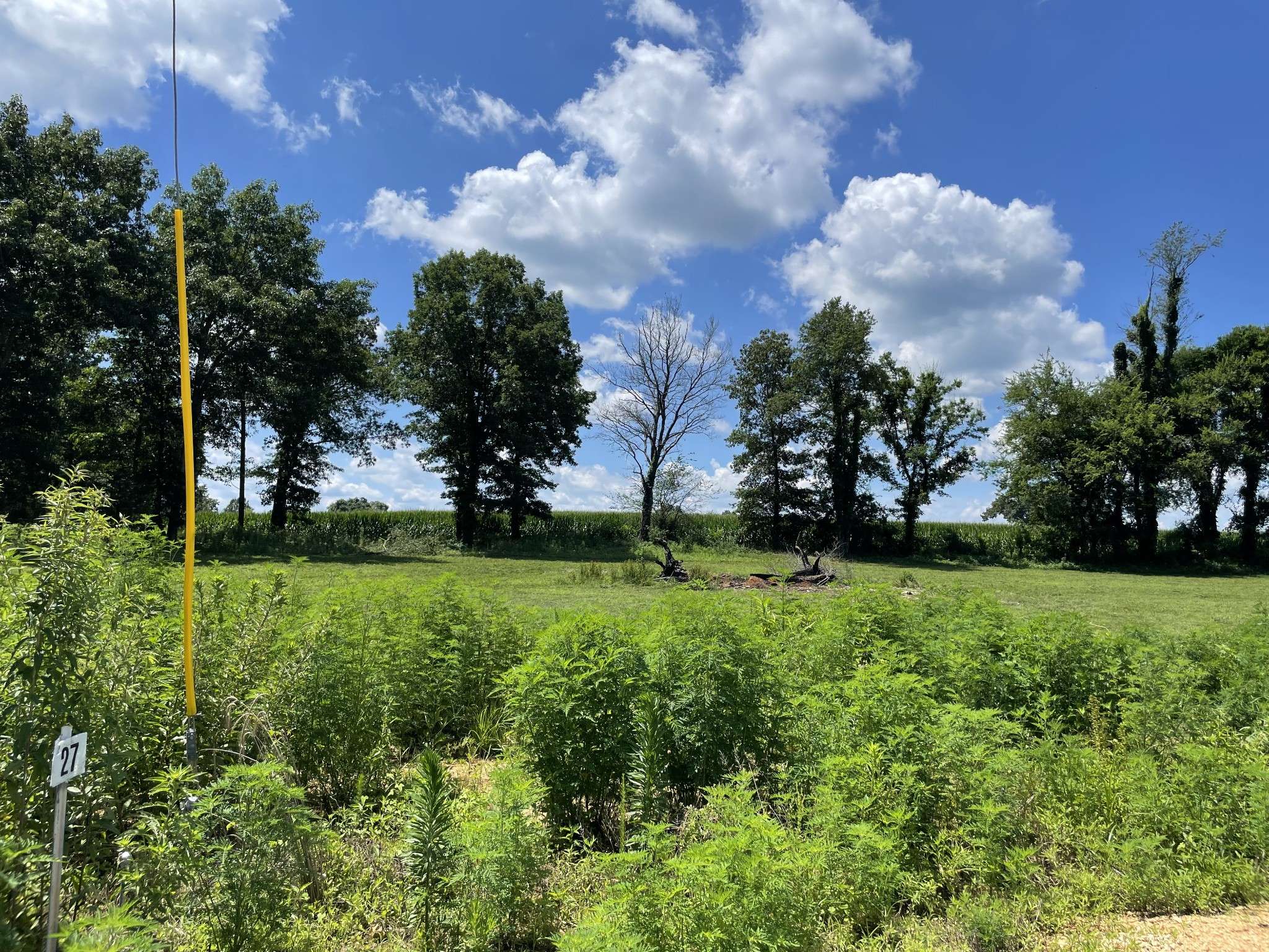 0 Hidden Hills Lane, Summertown, TN 38483