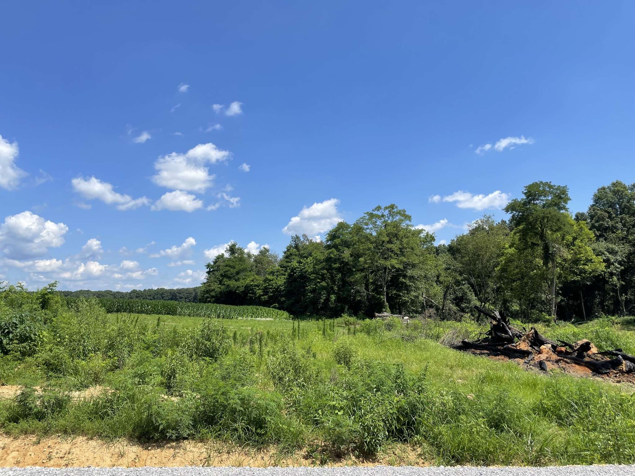 0 Hidden Hills Lane, Summertown, TN 38483
