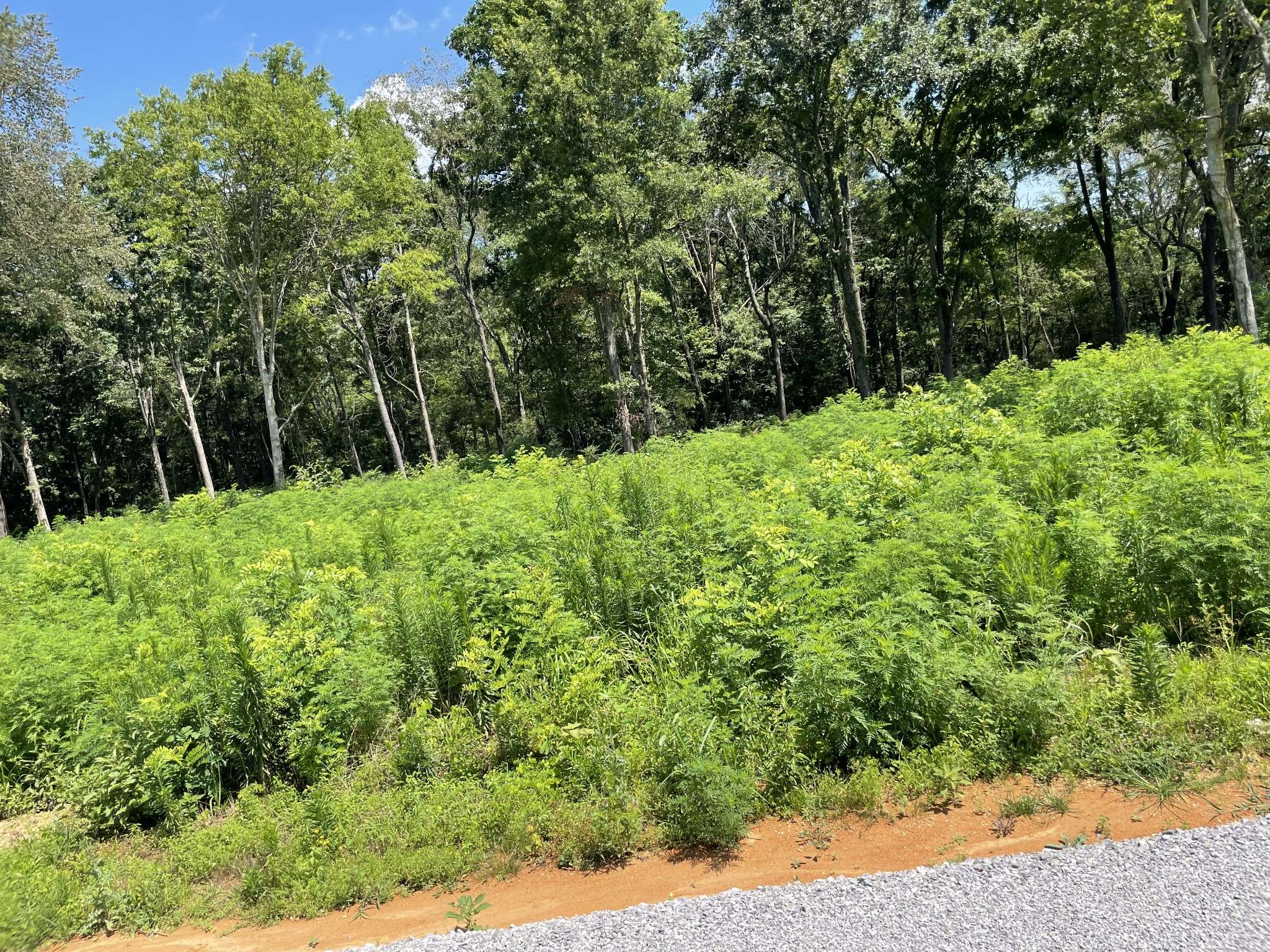0 Hidden Hills Lane, Summertown, TN 38483