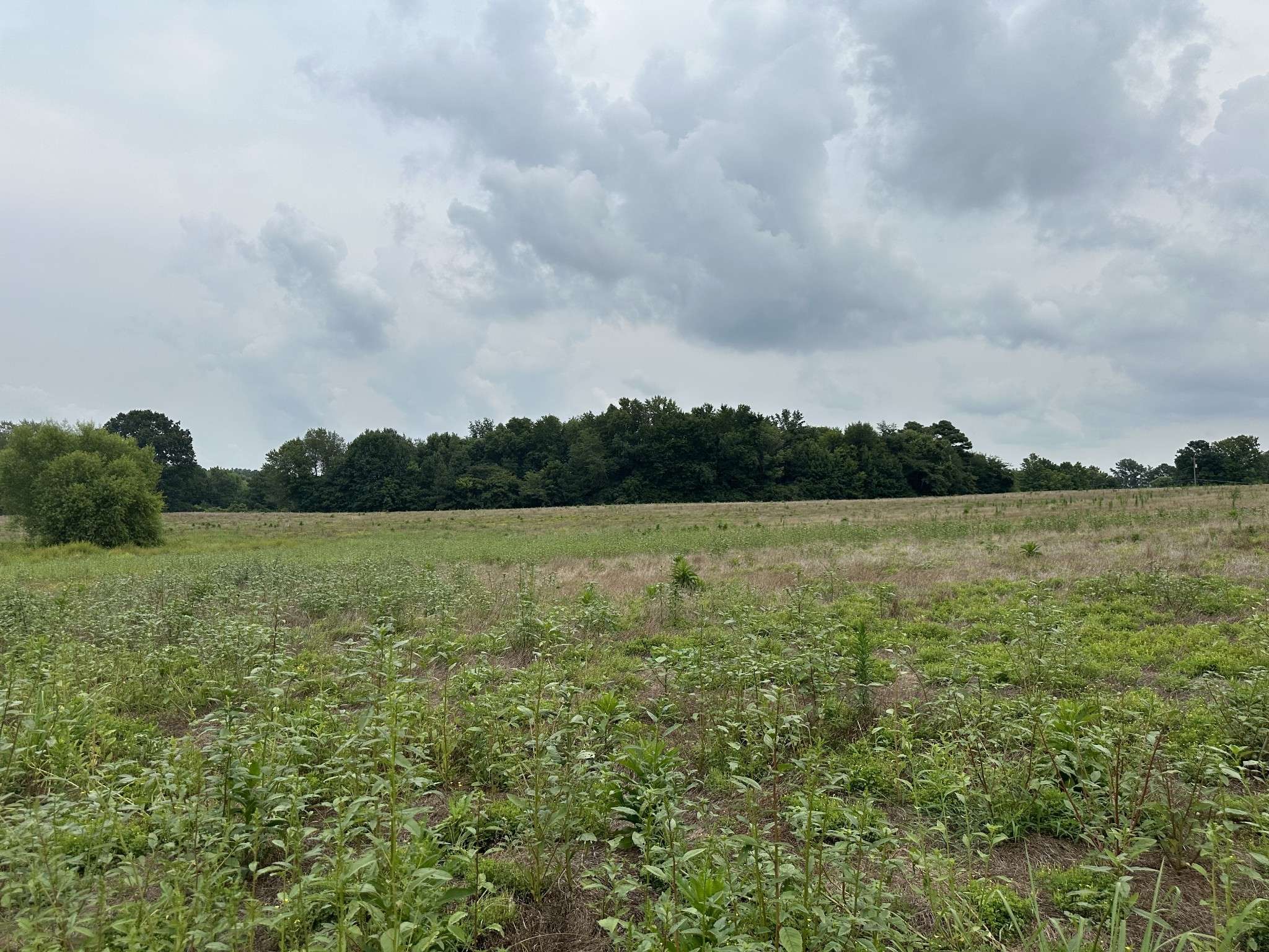 0 Clarksville Pike, Joelton, TN 37080
