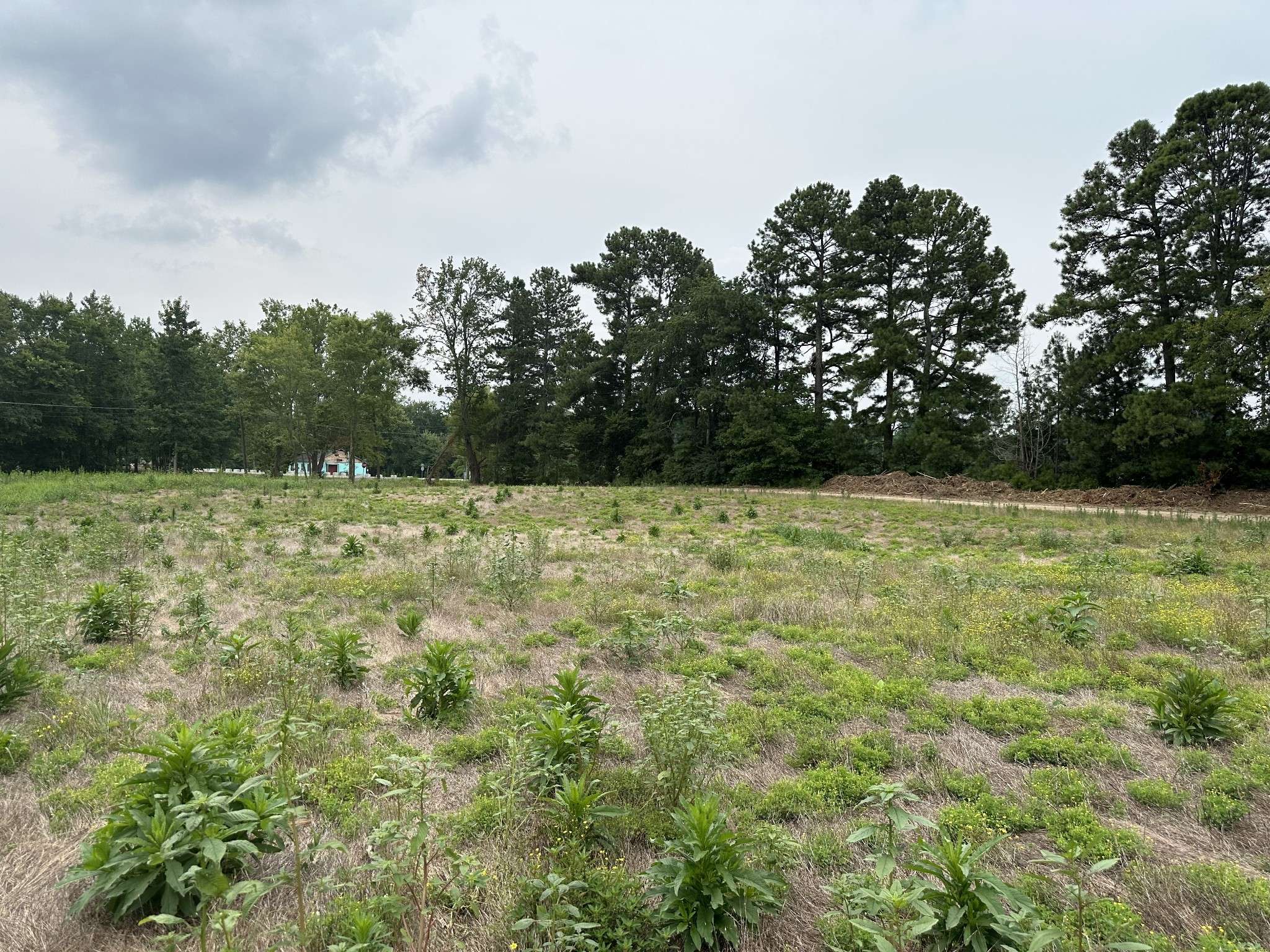 0 Clarksville Pike, Joelton, TN 37080