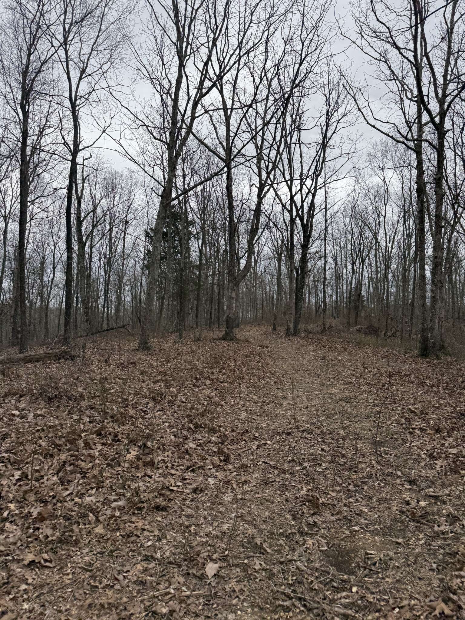 0 Bear Creek Rd, Waverly, TN 37185