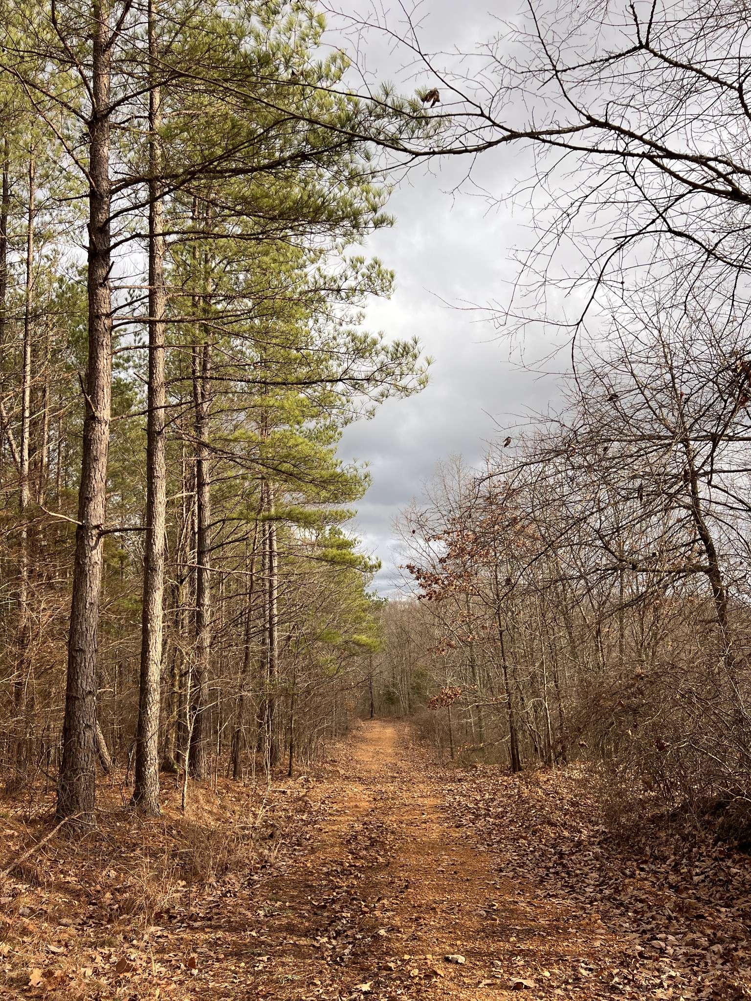 0 Bear Creek Rd, Waverly, TN 37185