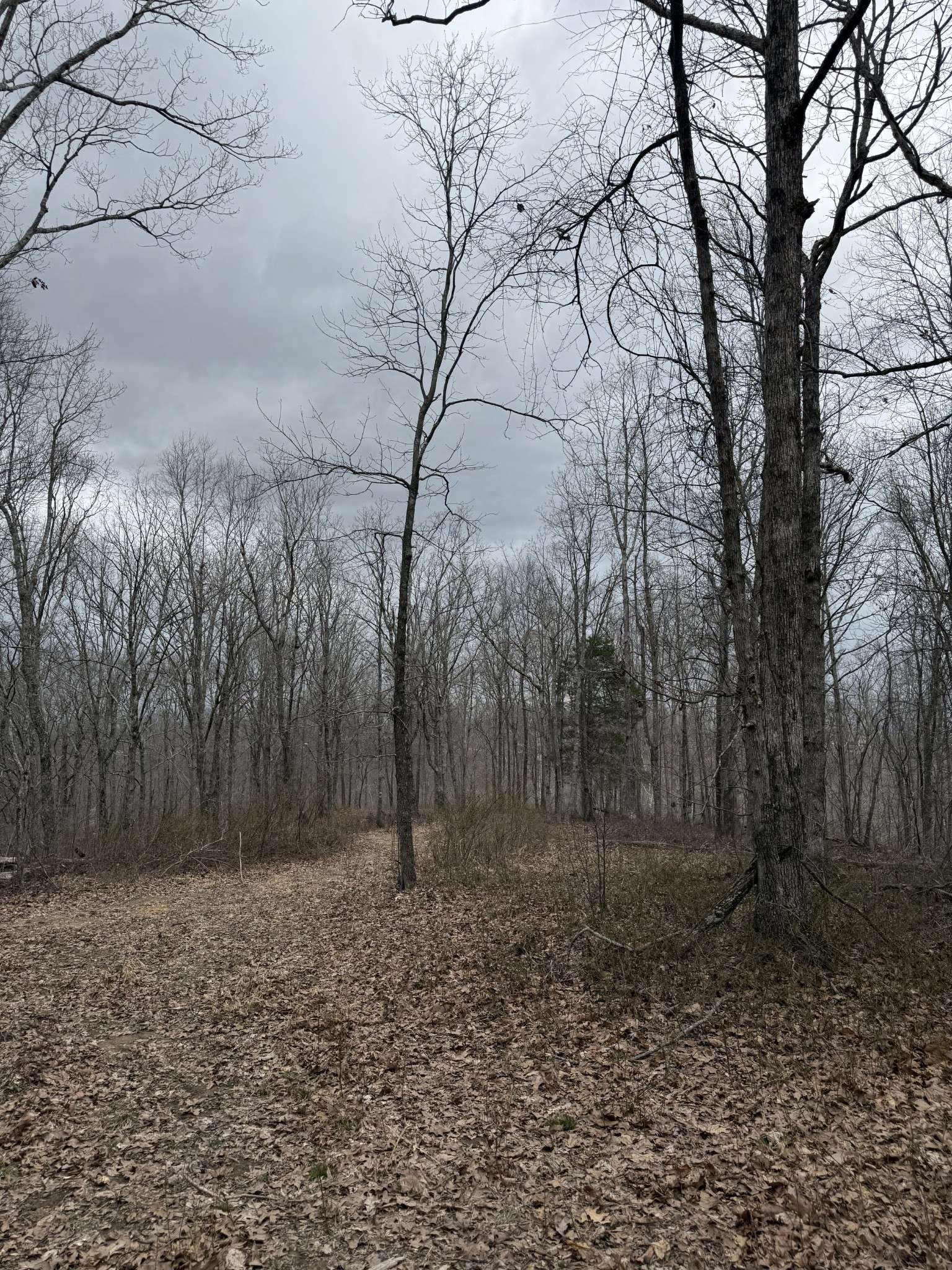 0 Bear Creek Rd, Waverly, TN 37185