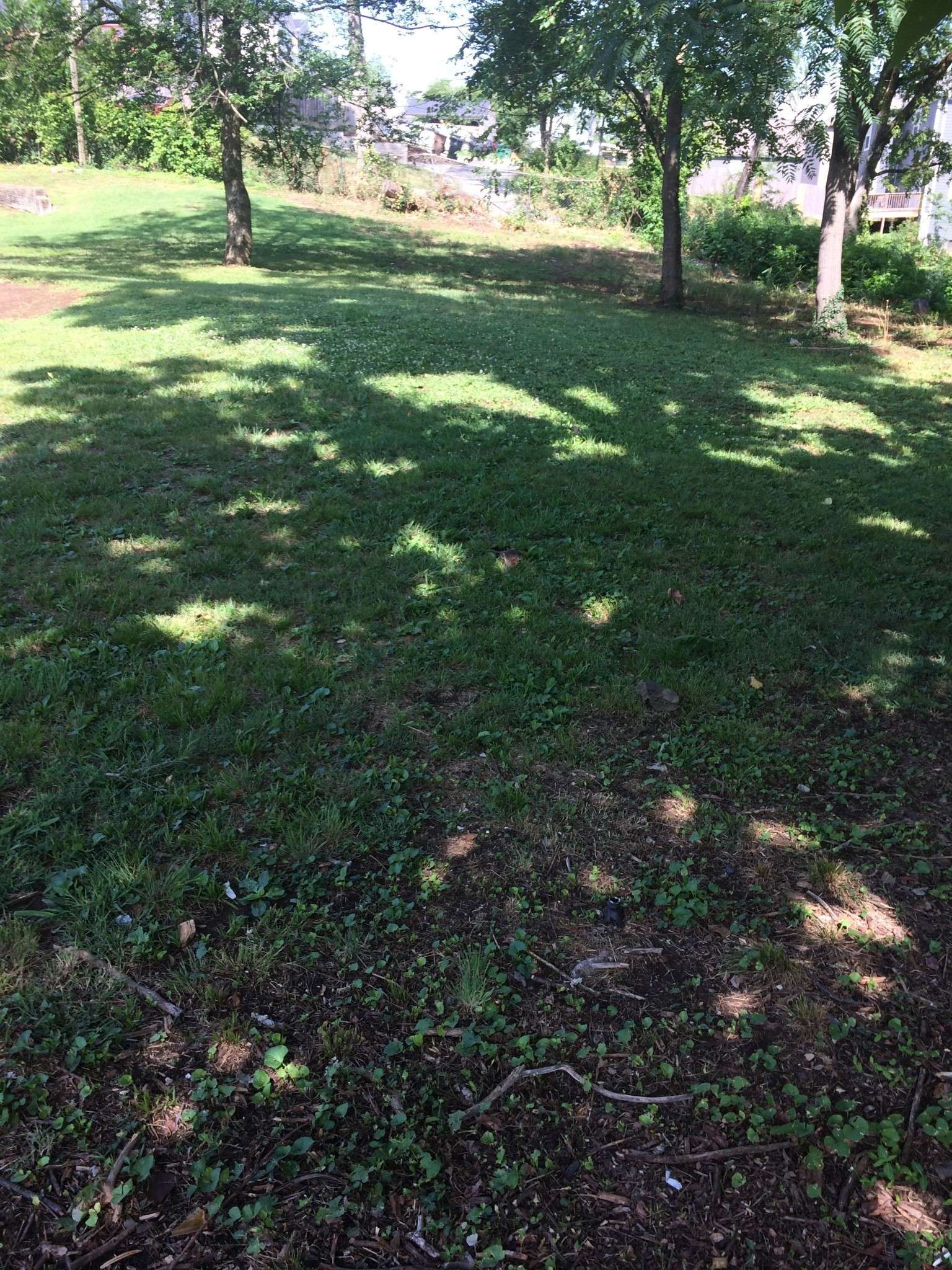 2147 18th Ave #N, Nashville, TN 37208