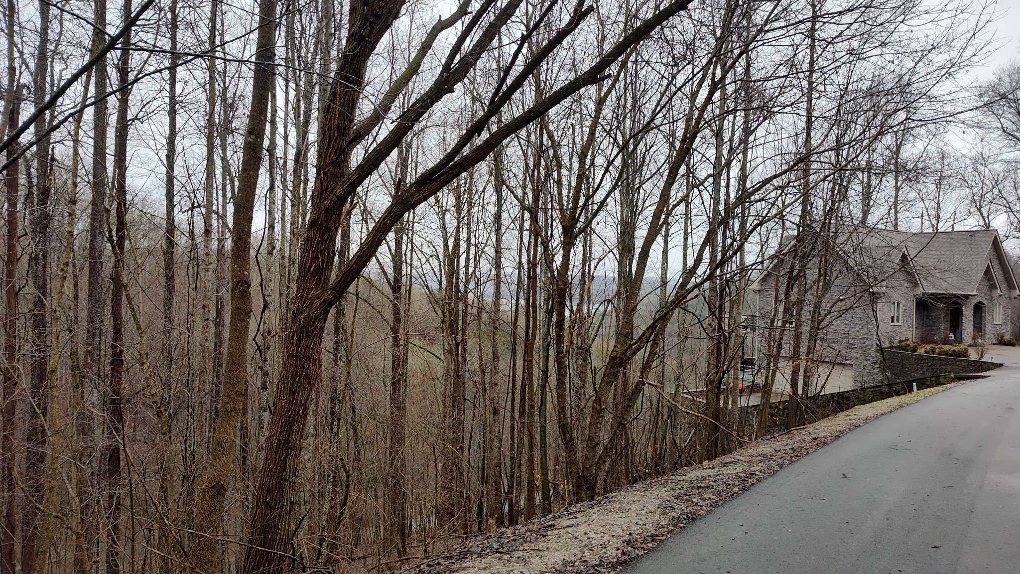 35 Bay View Dr, Lancaster, TN 38569