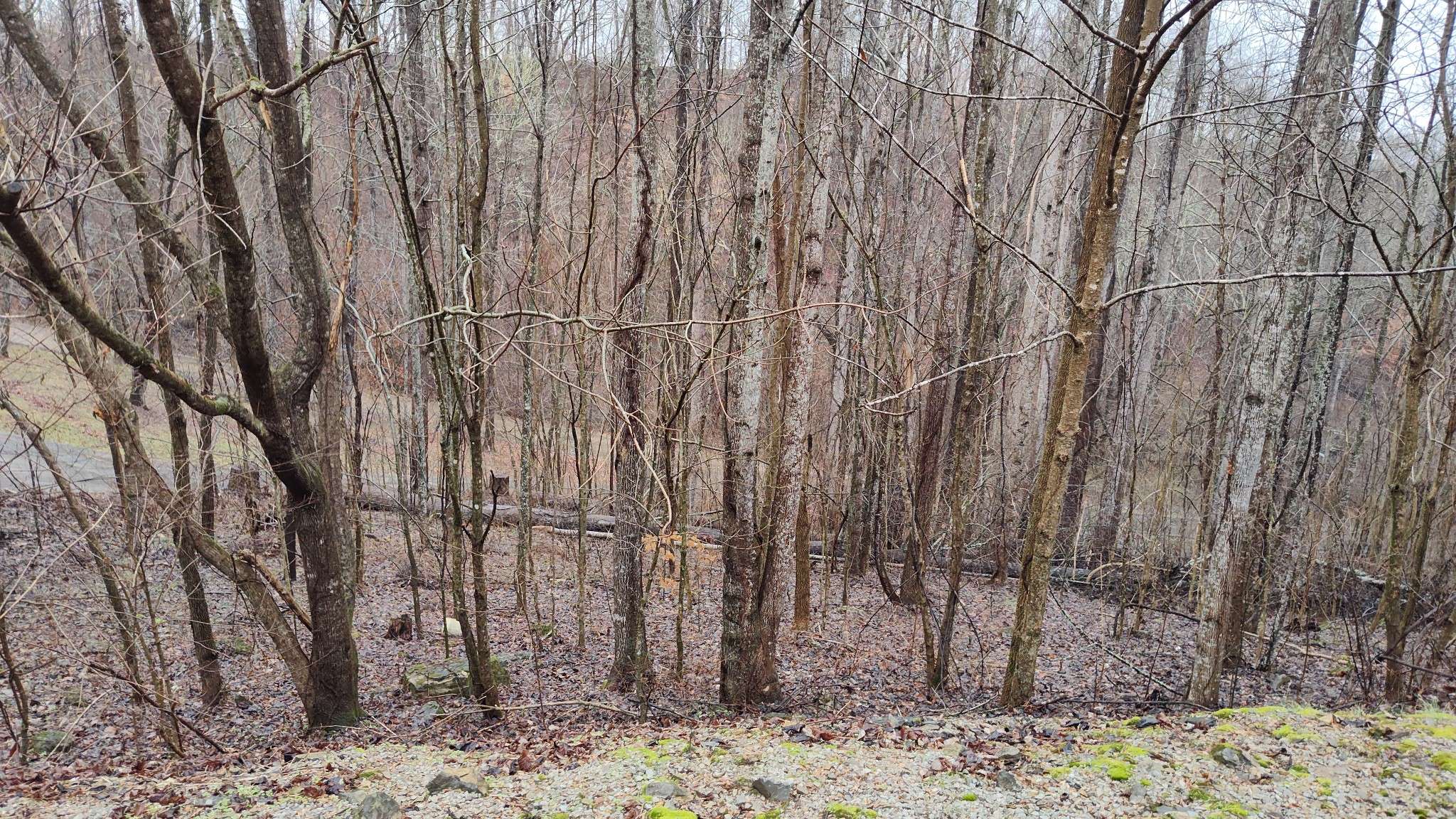 35 Bay View Dr, Lancaster, TN 38569