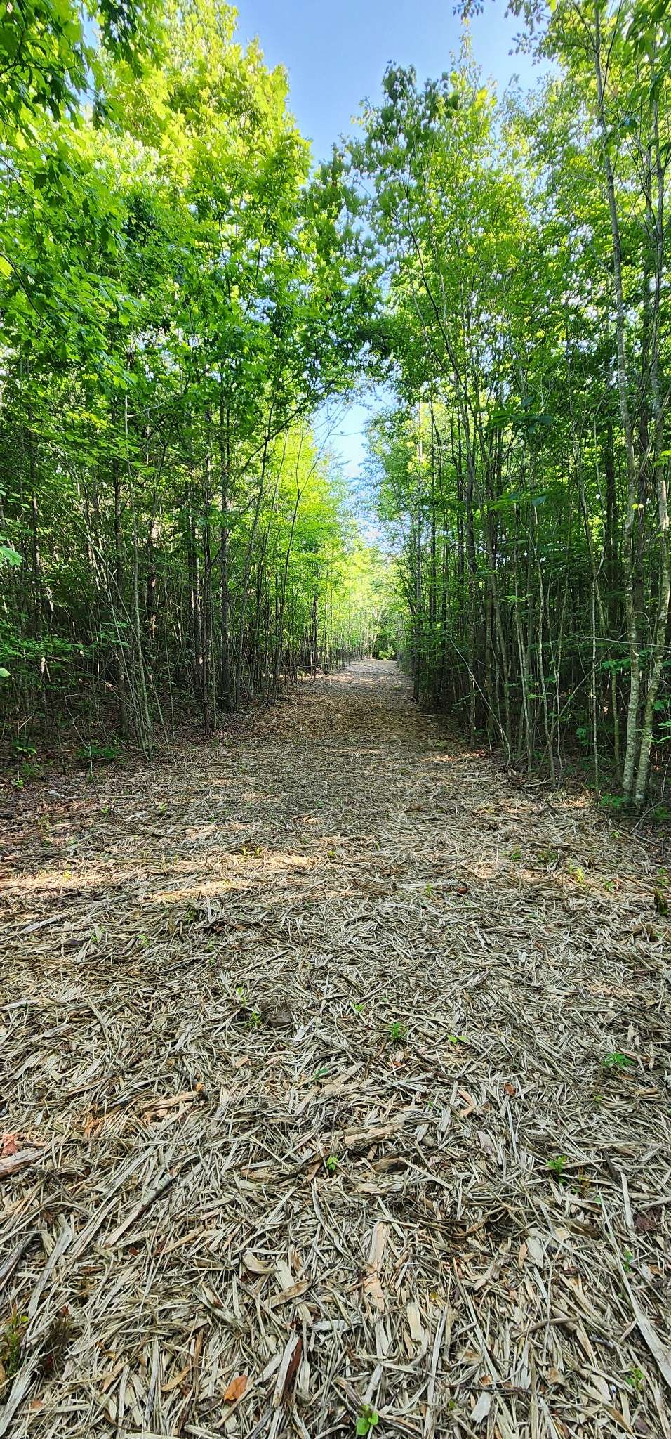 0 Tootley Campbell Rd, Monteagle, TN 37356