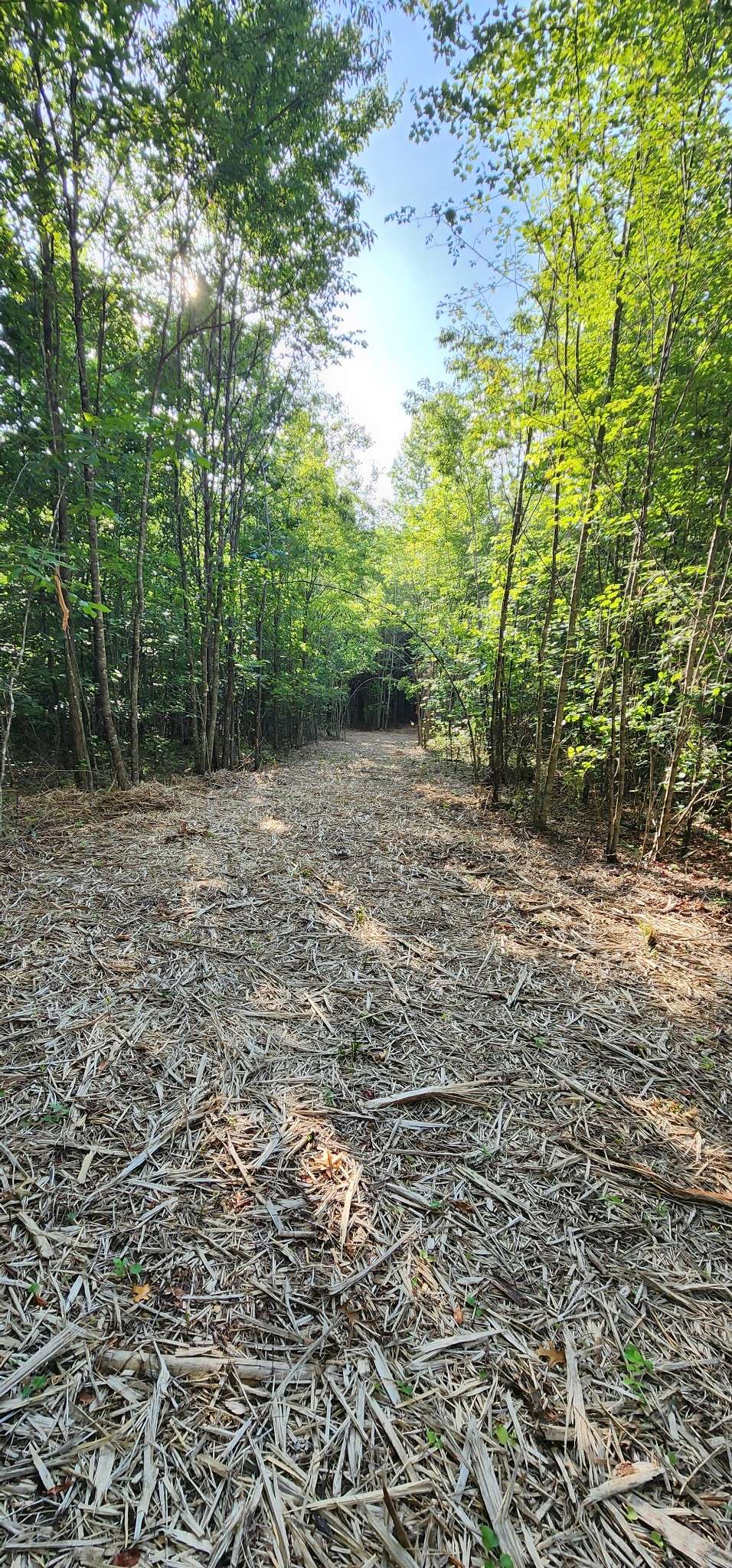 0 Tootley Campbell Rd, Monteagle, TN 37356