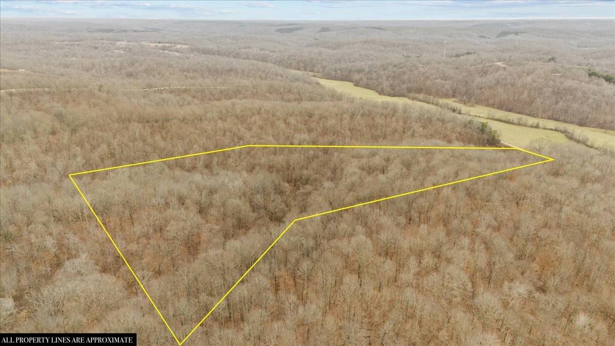 0 Jack Saunder Rd, Waverly, TN 37185