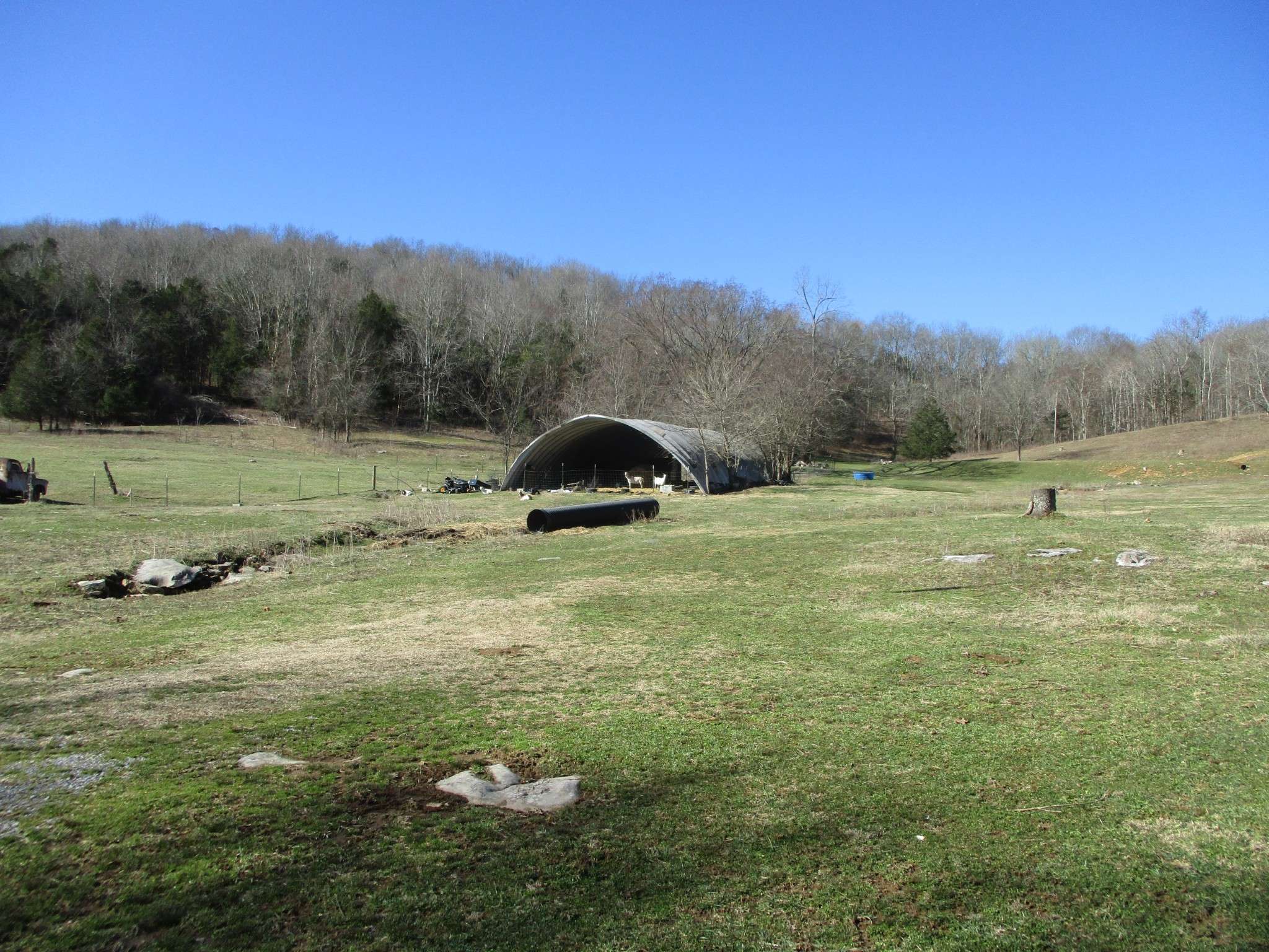 3800 Patton Hollow Rd, Watertown, TN 37184