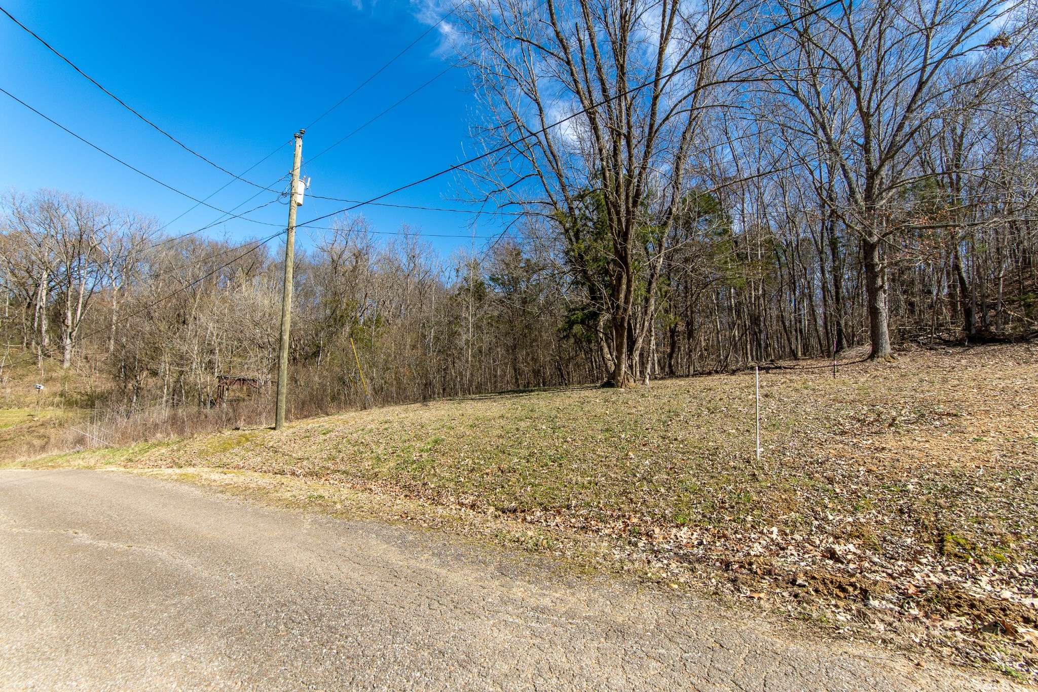 0 Salt Ln, Savannah, TN 38372
