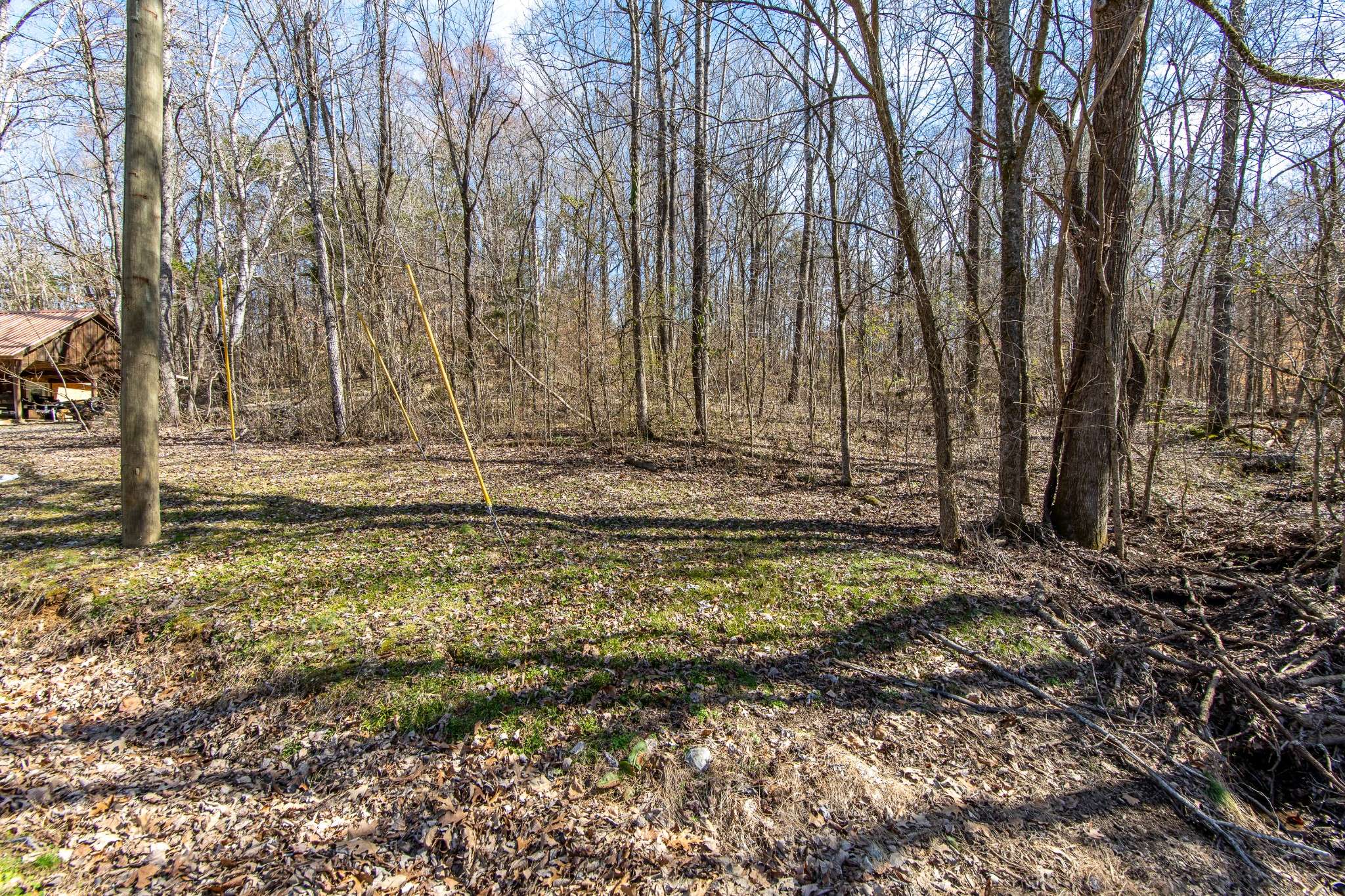 0 Salt Ln, Savannah, TN 38372