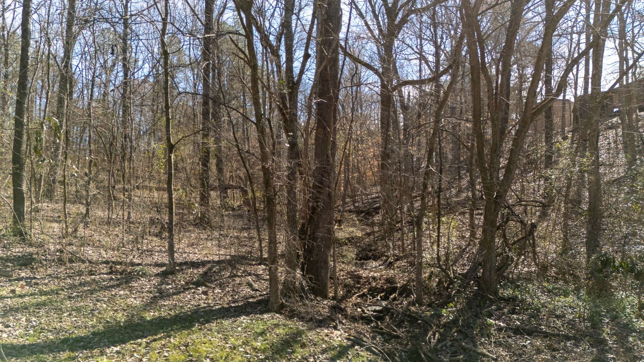 0 Salt Ln, Savannah, TN 38372