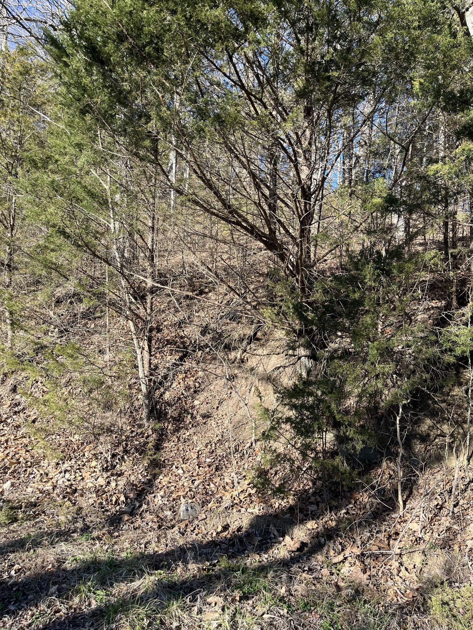 0 Davis Hollow, Dowelltown, TN 37059